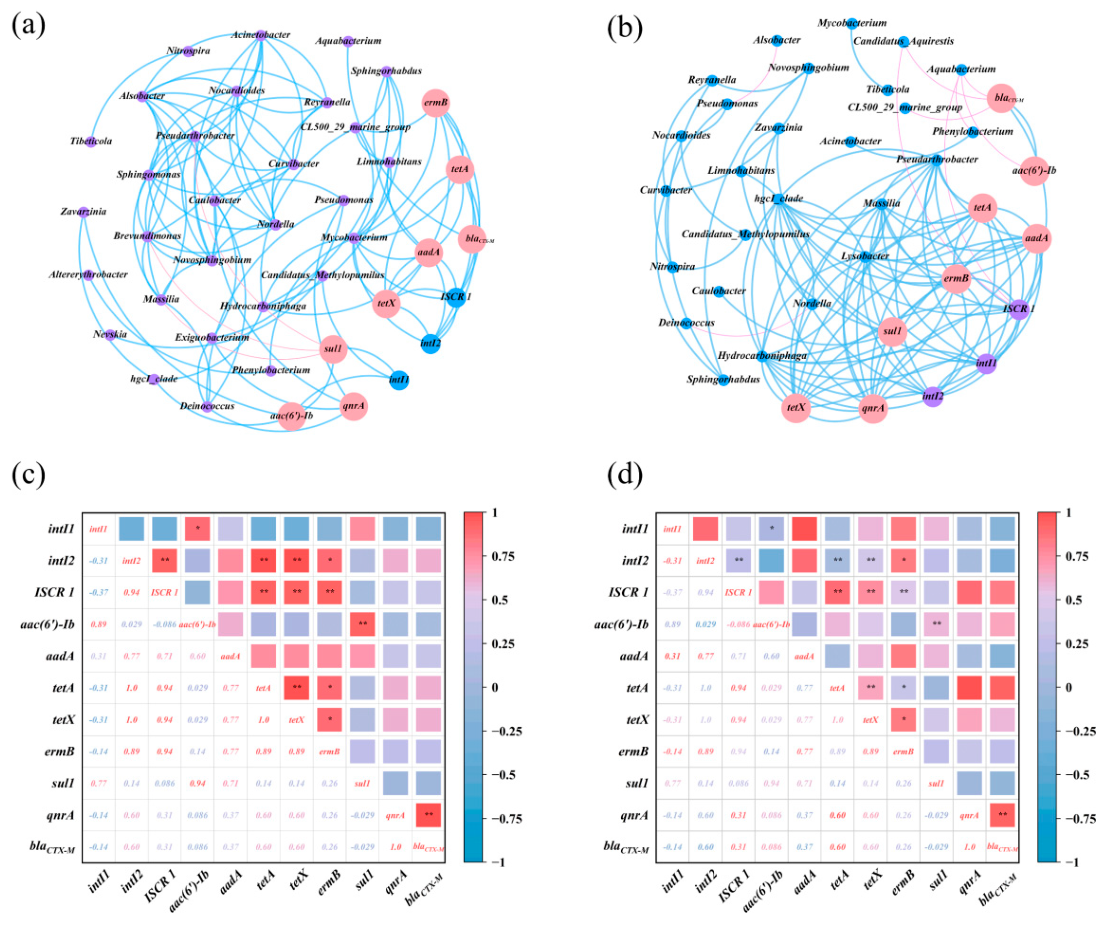 Microorganisms 13 02828 g006
