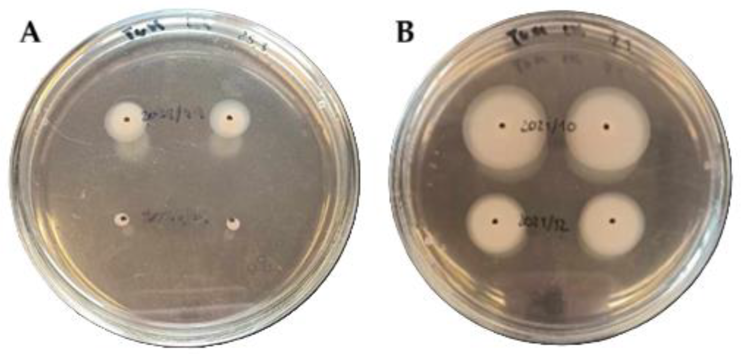 Microorganisms 13 02835 g001