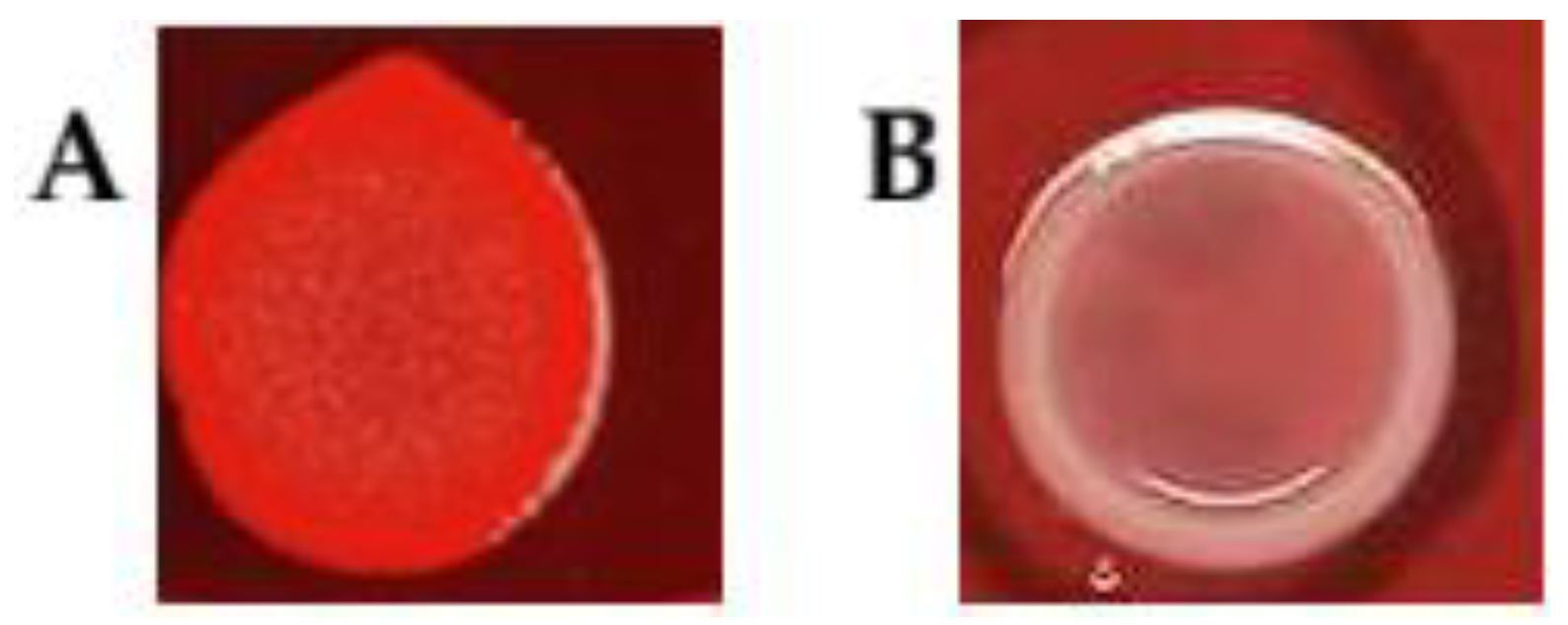 Microorganisms 13 02835 g002