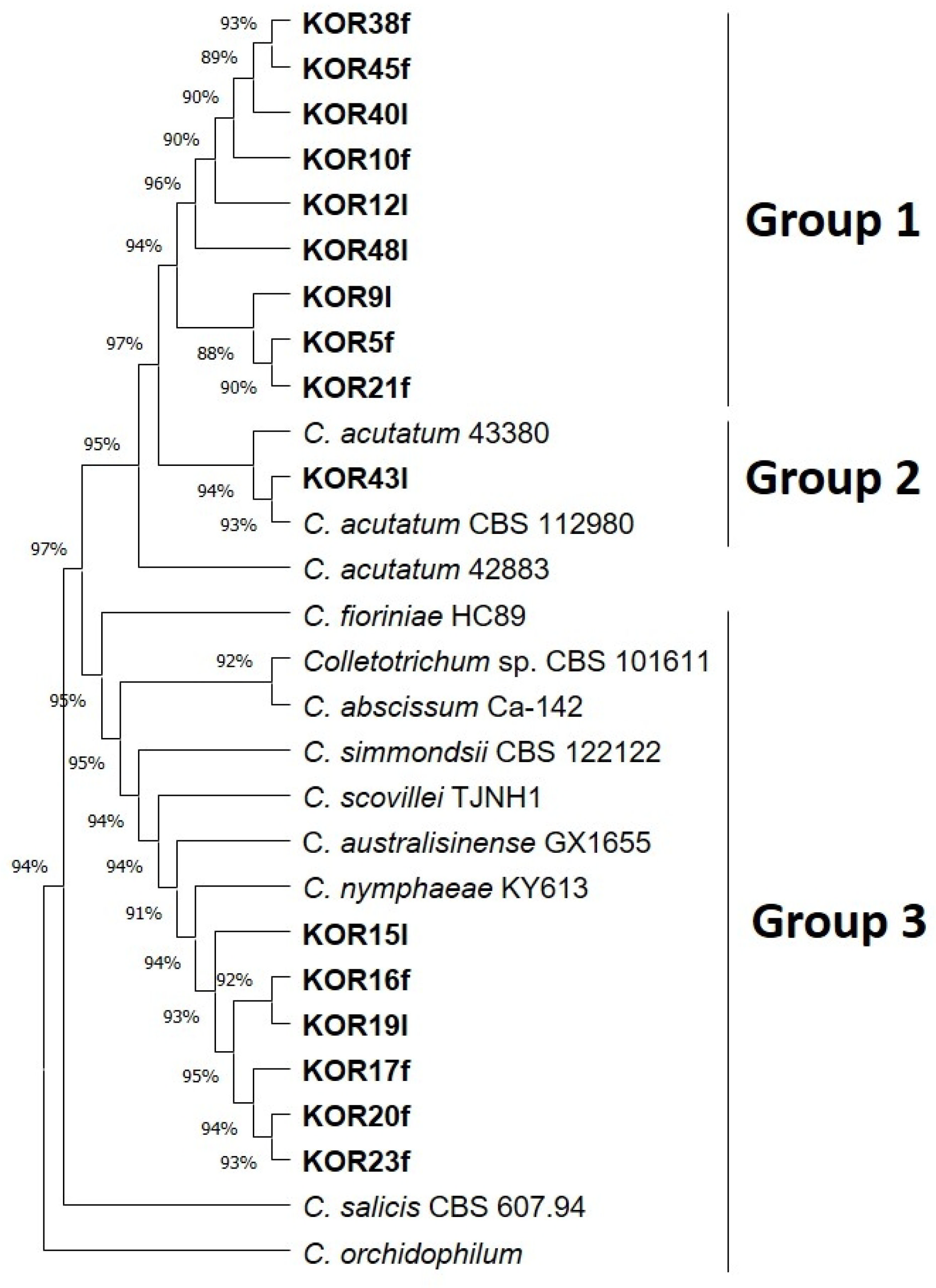 Microorganisms 13 02838 g001