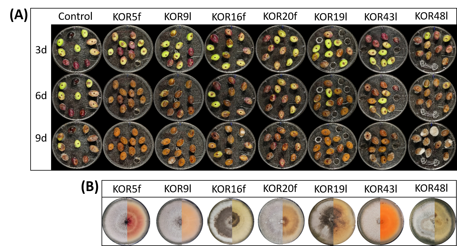 Microorganisms 13 02838 g003