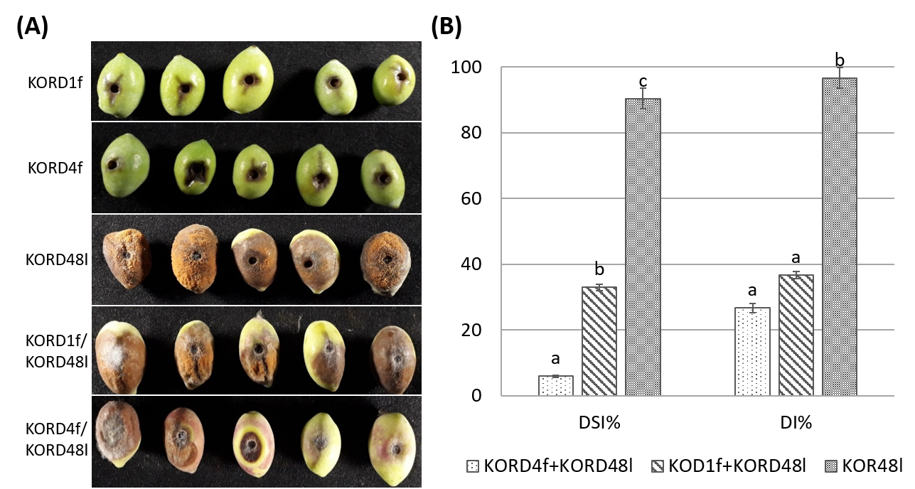 Microorganisms 13 02838 g008