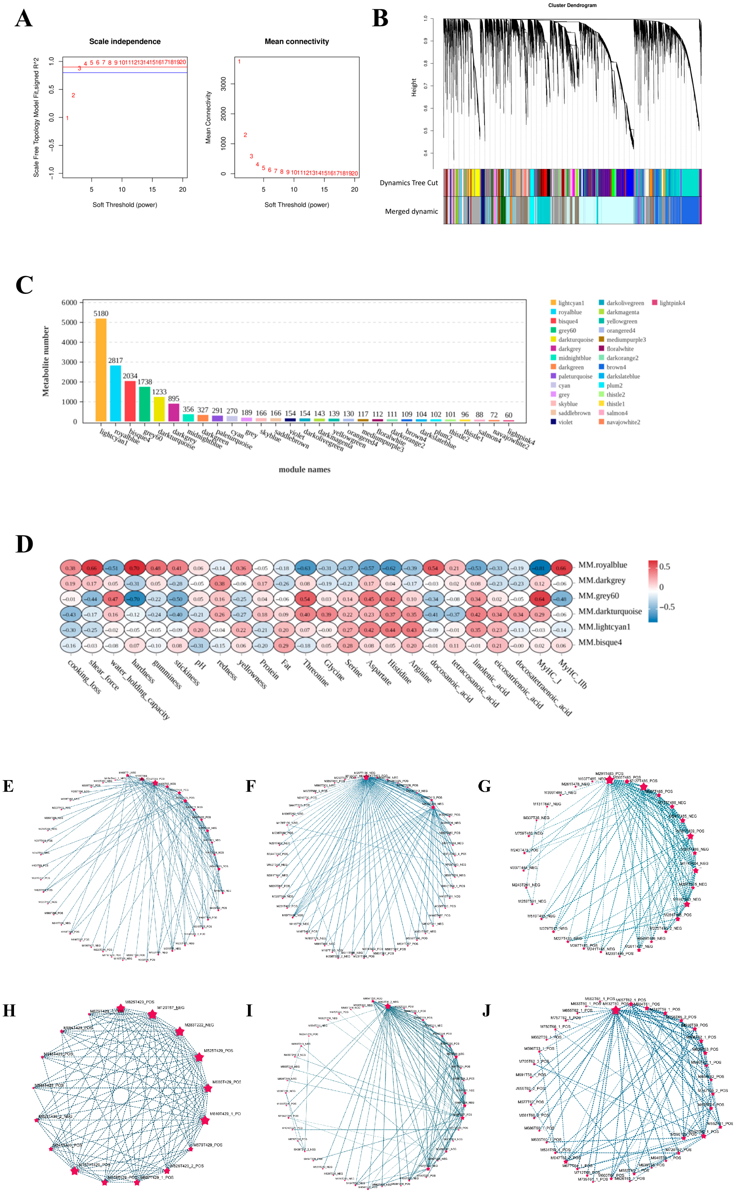Microorganisms 13 02845 g003
