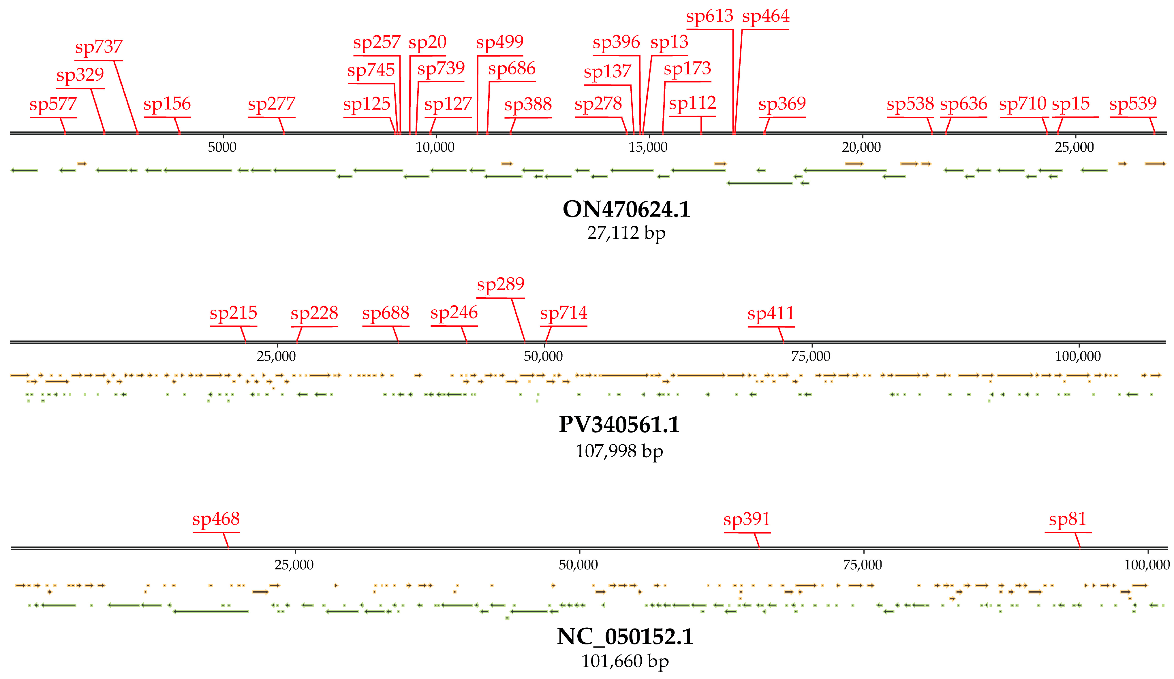 Microorganisms 13 02846 g003 Microorganisms 13 02846 g003
