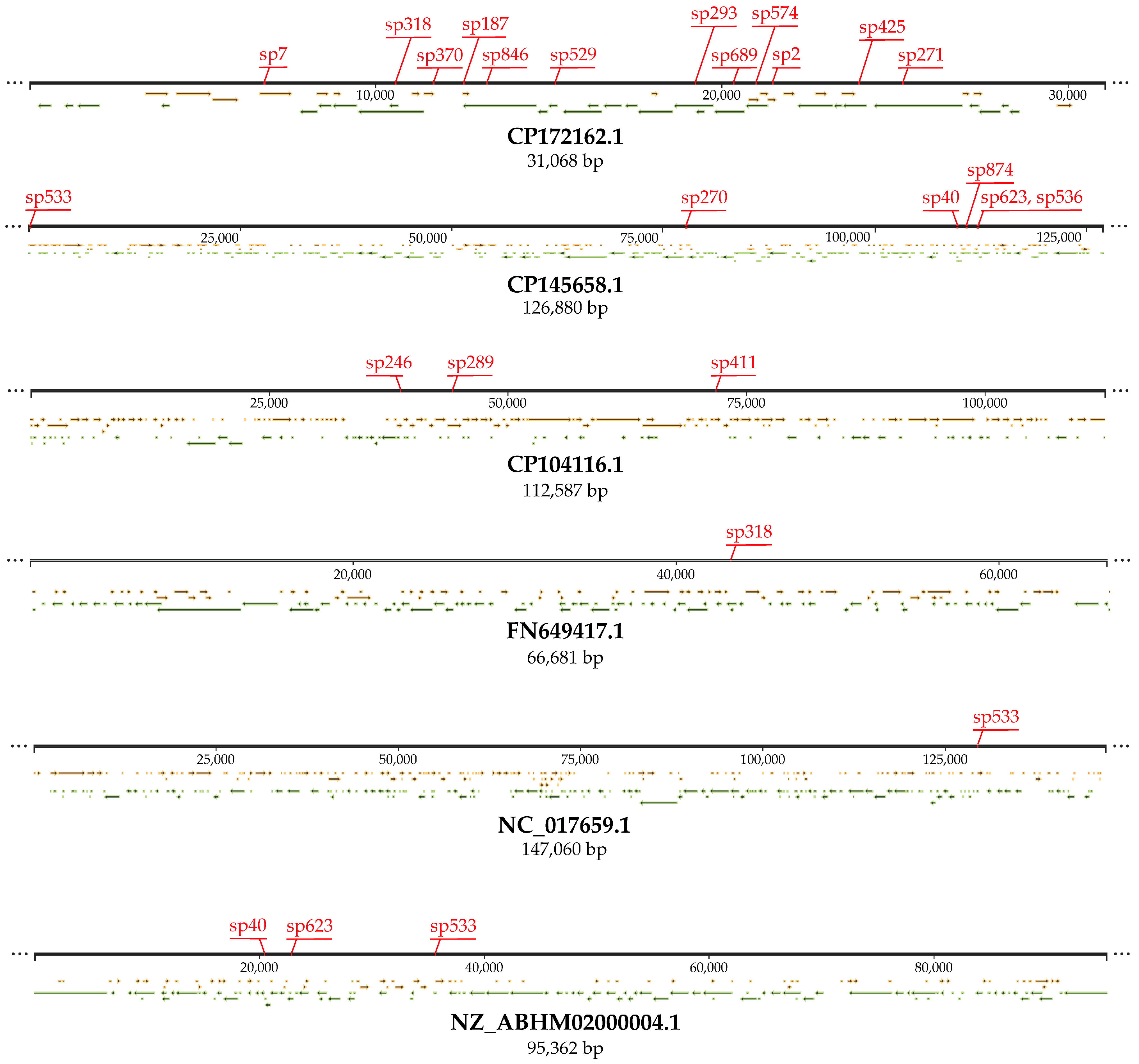 Microorganisms 13 02846 g004 Microorganisms 13 02846 g004