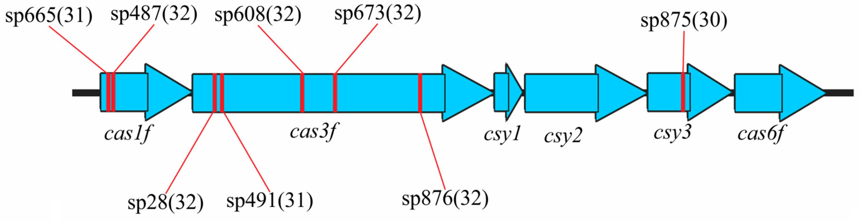 Microorganisms 13 02846 g005 Microorganisms 13 02846 g005