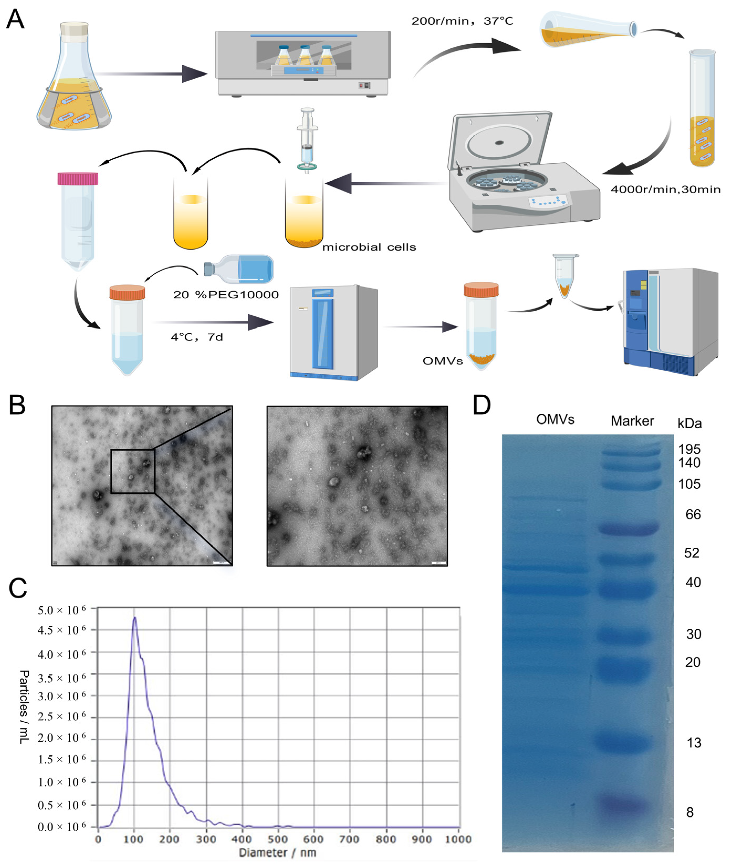 Microorganisms 13 02849 g001 Microorganisms 13 02849 g001