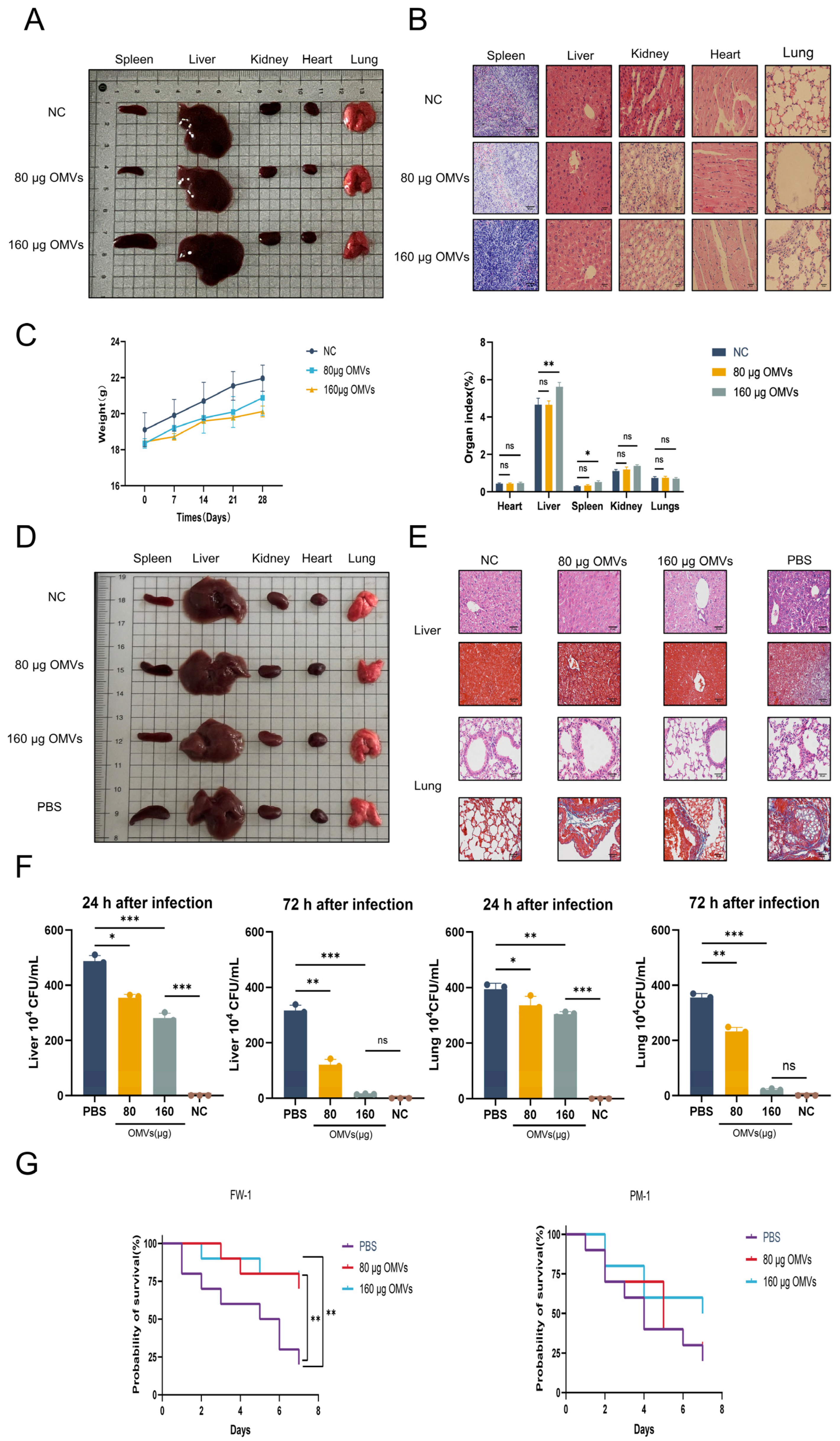 Microorganisms 13 02849 g002 Microorganisms 13 02849 g002
