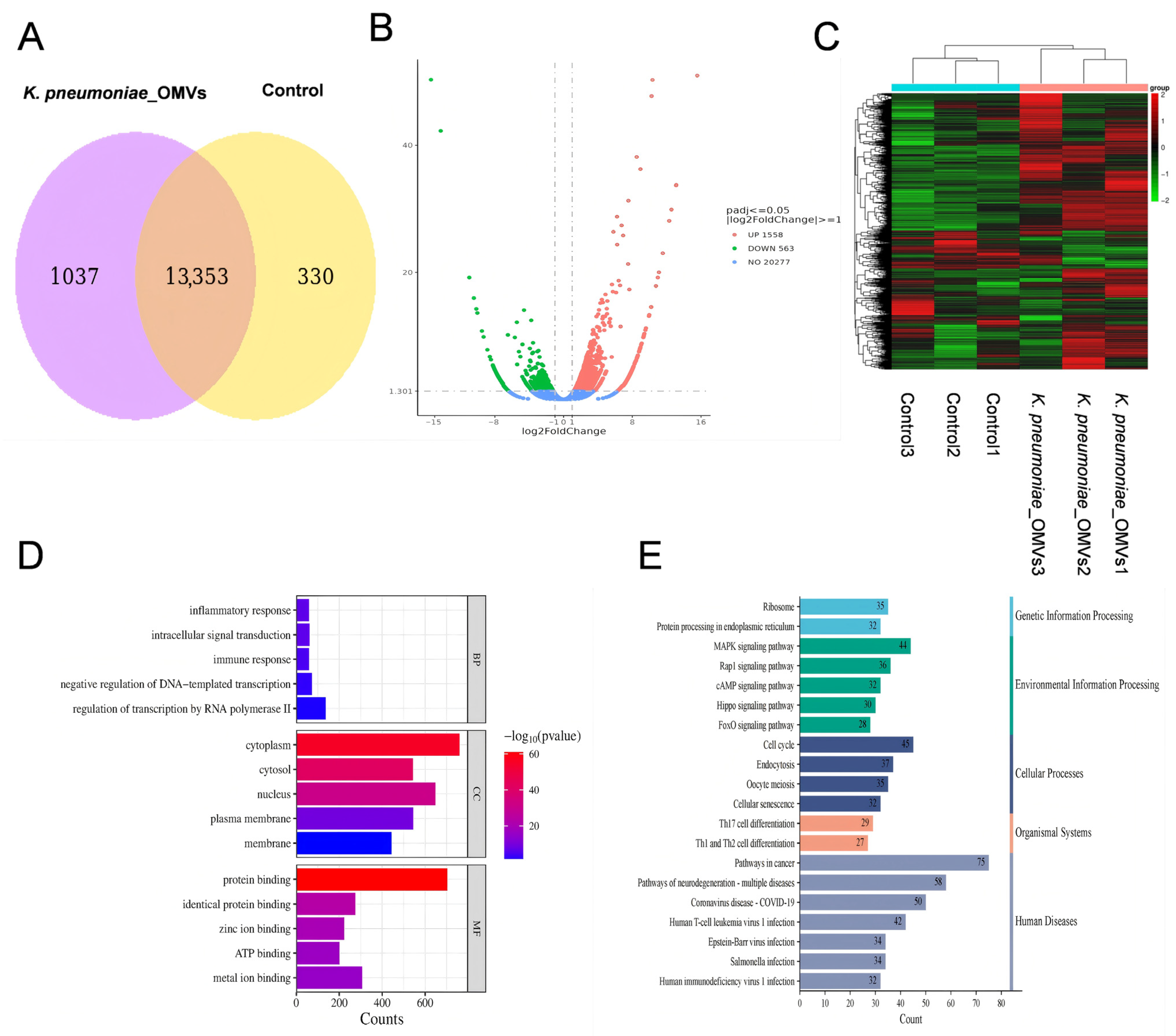 Microorganisms 13 02849 g003 Microorganisms 13 02849 g003