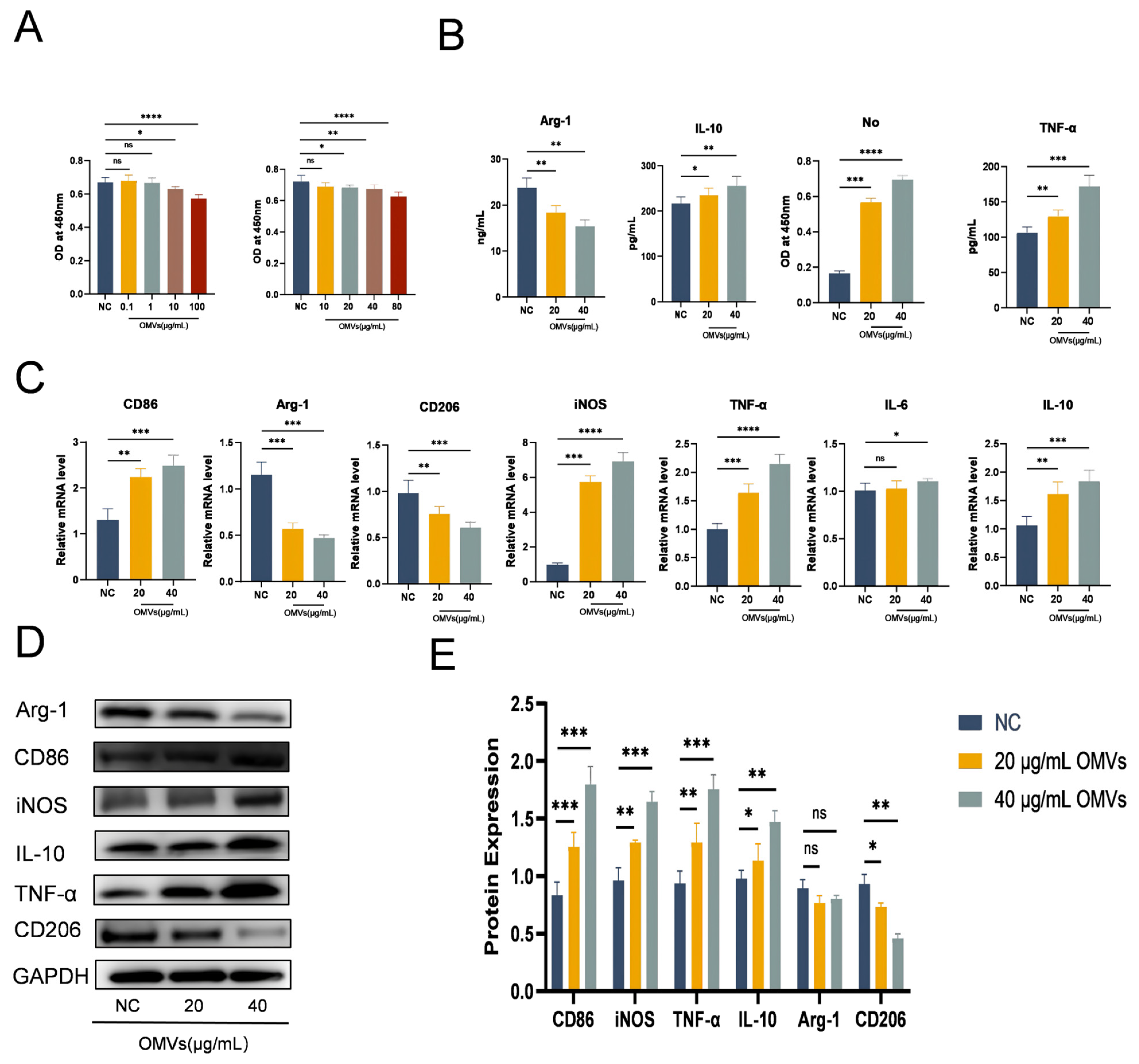 Microorganisms 13 02849 g004 Microorganisms 13 02849 g004