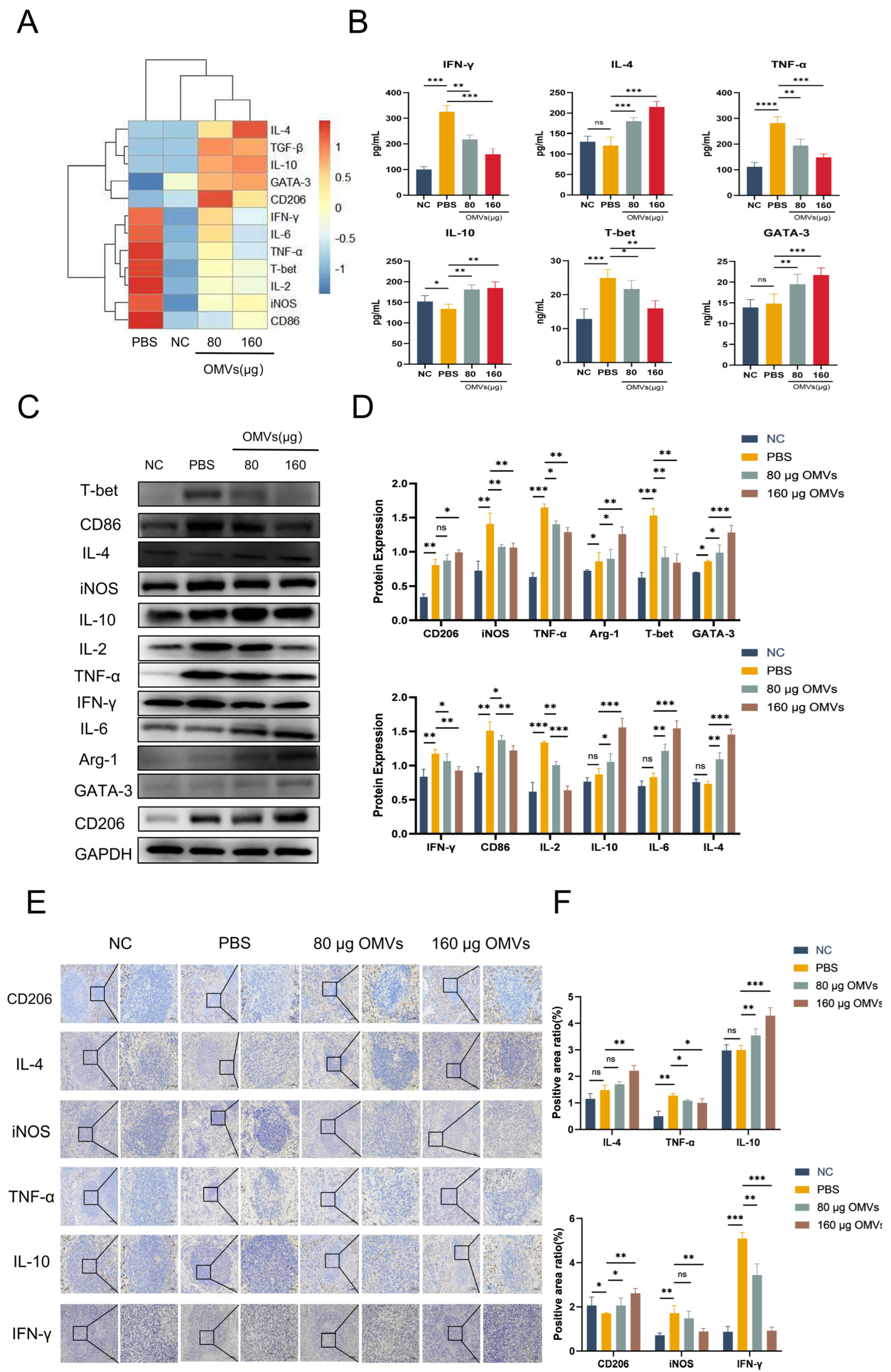 Microorganisms 13 02849 g006 Microorganisms 13 02849 g006