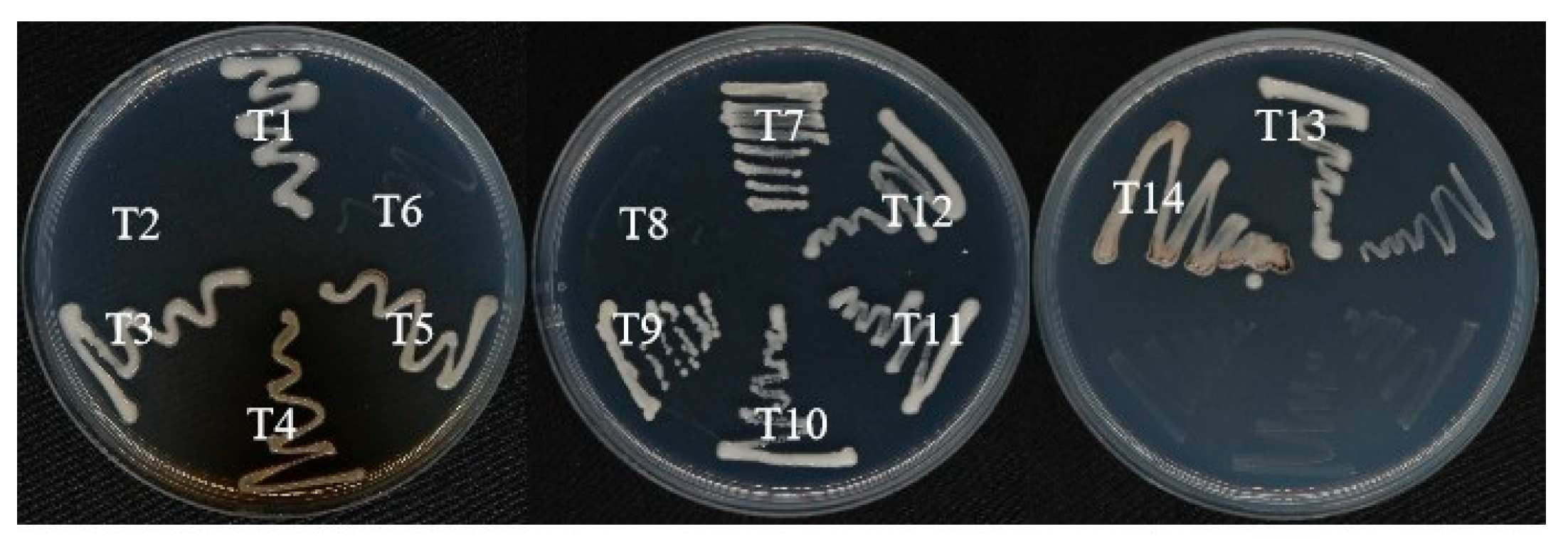 Microorganisms 13 02857 g007 Microorganisms 13 02857 g007