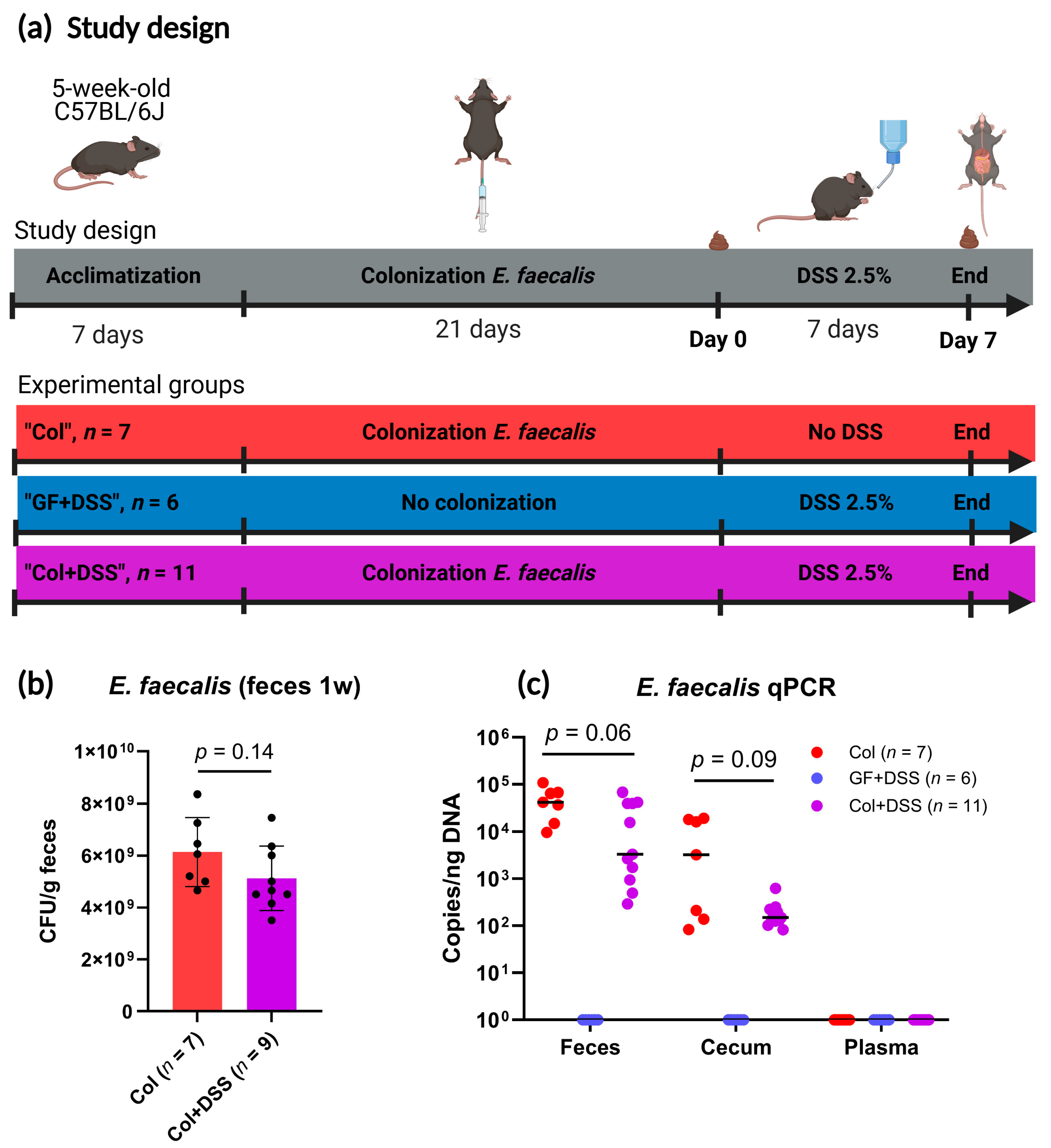 Microorganisms 13 02864 g001