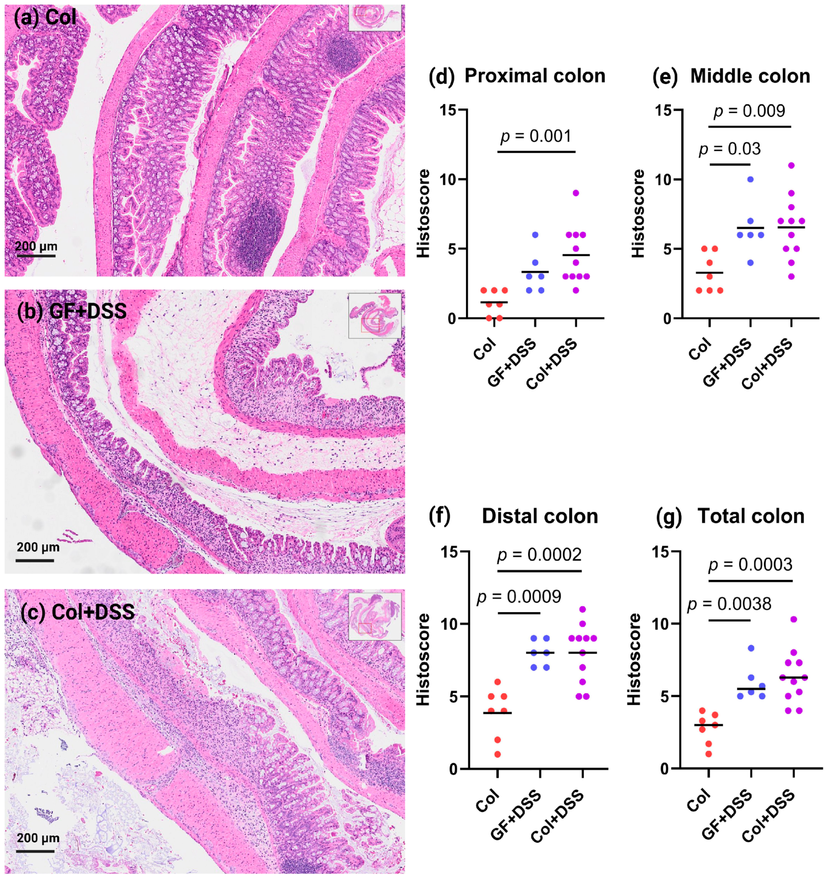 Microorganisms 13 02864 g003