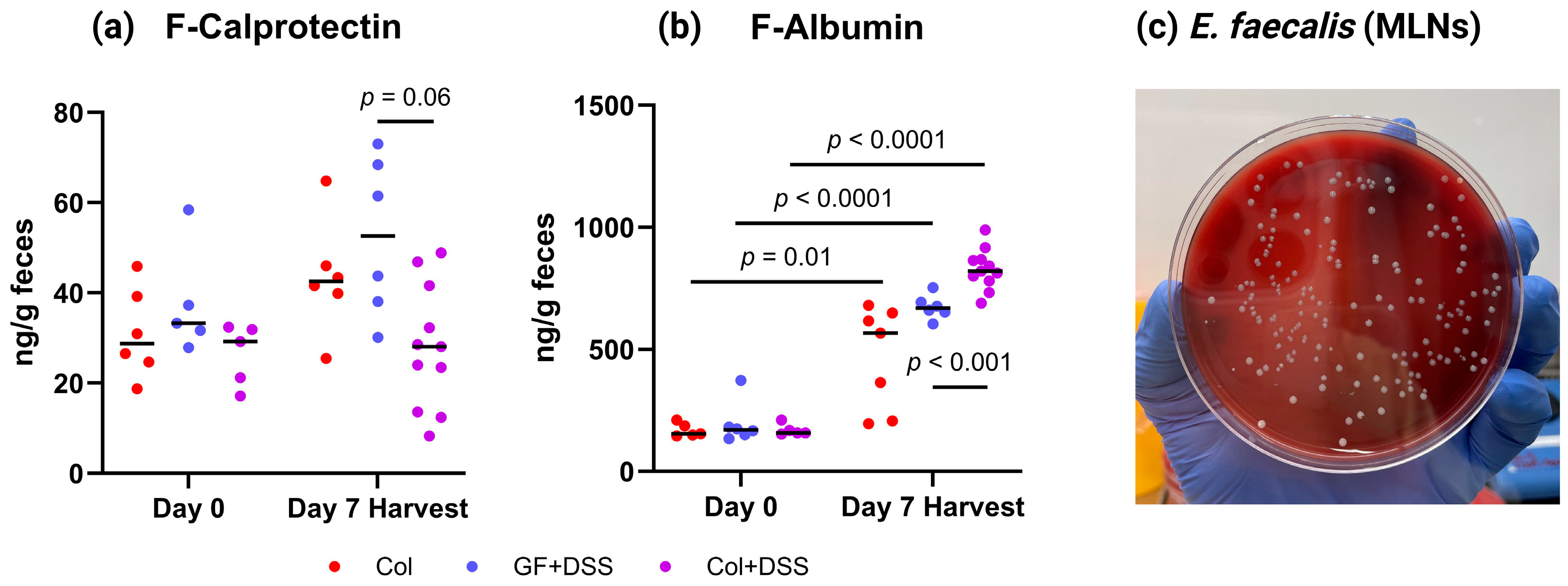 Microorganisms 13 02864 g004
