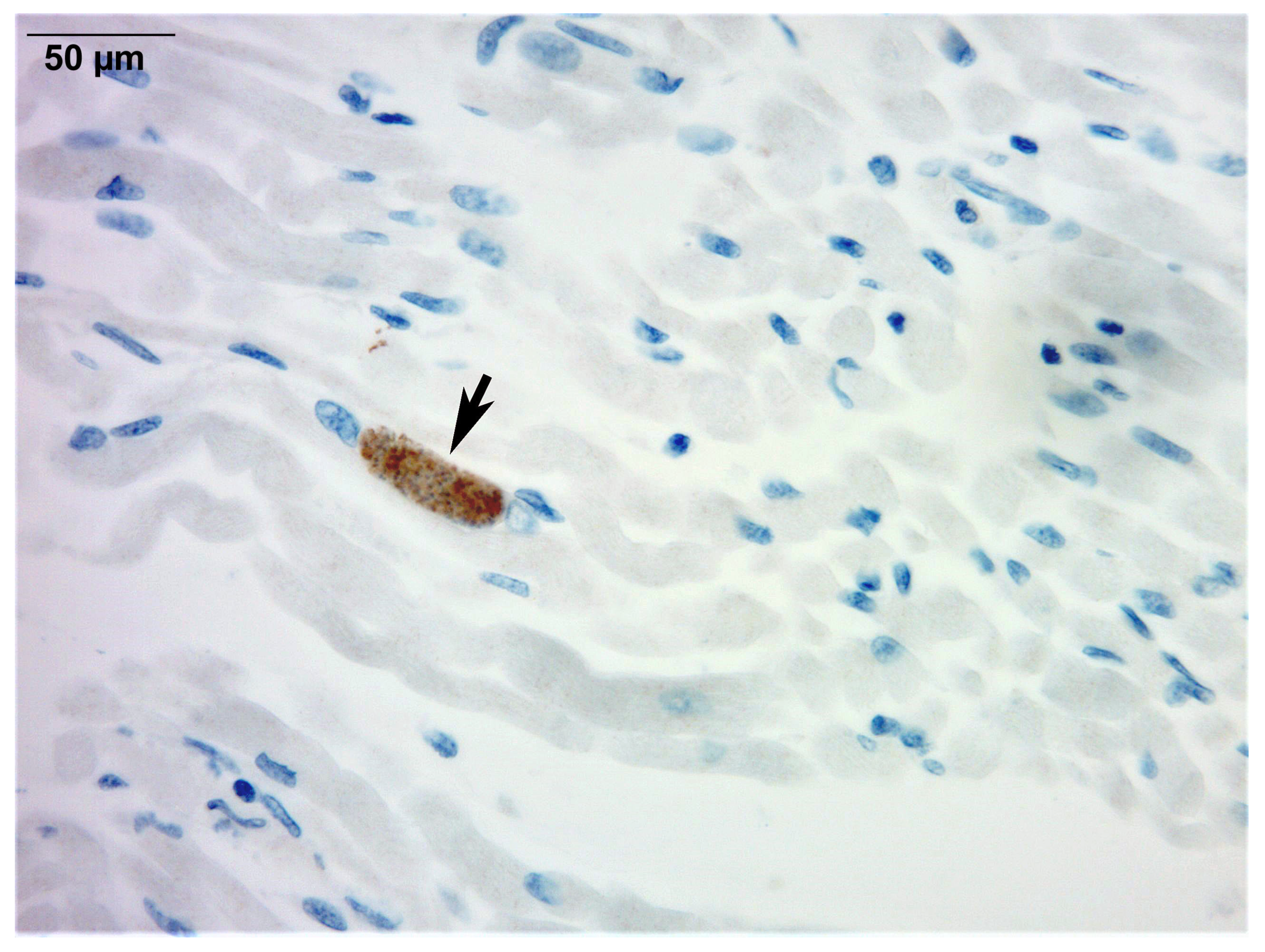 Microorganisms 13 02865 g002