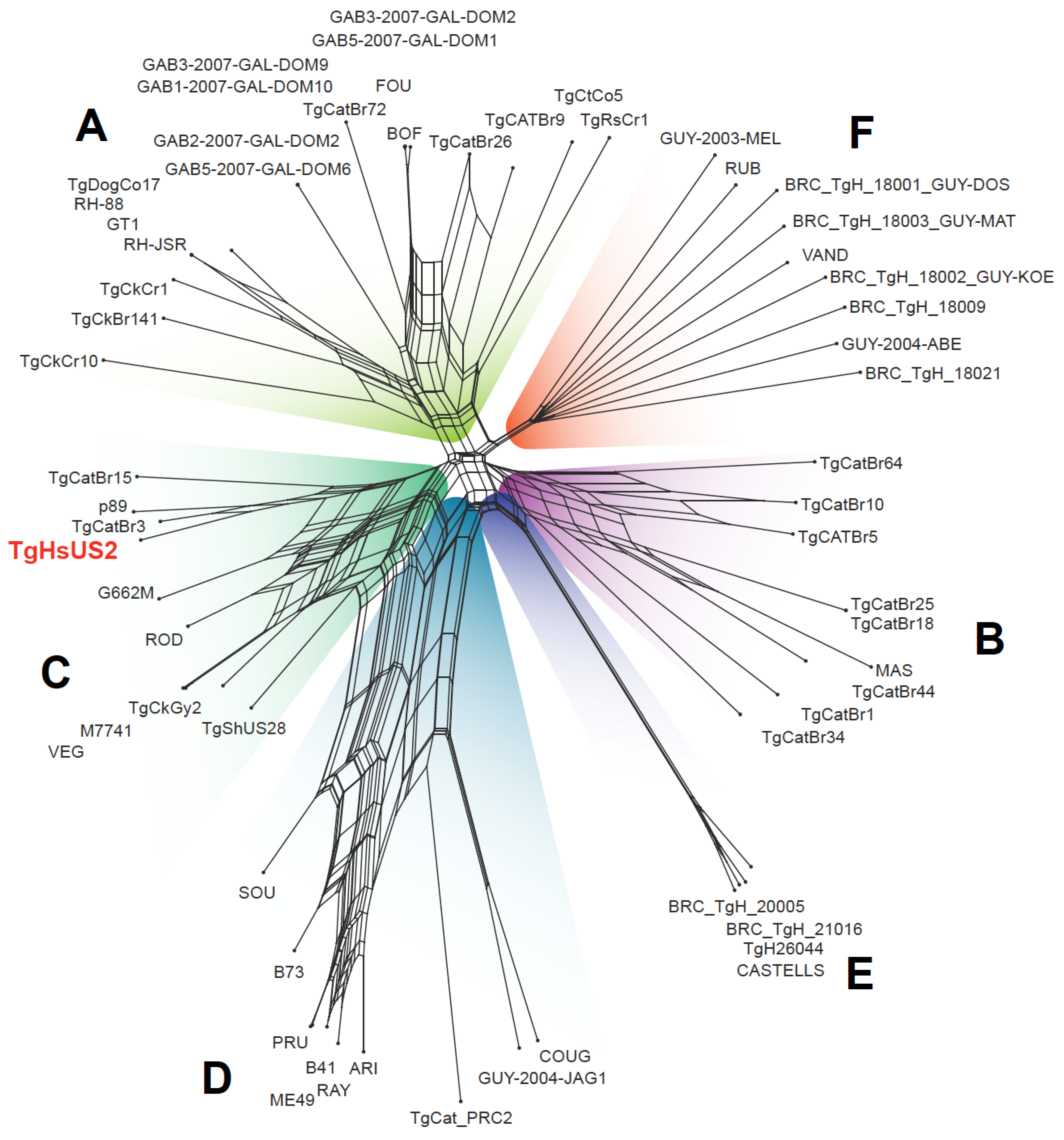 Microorganisms 13 02865 g005