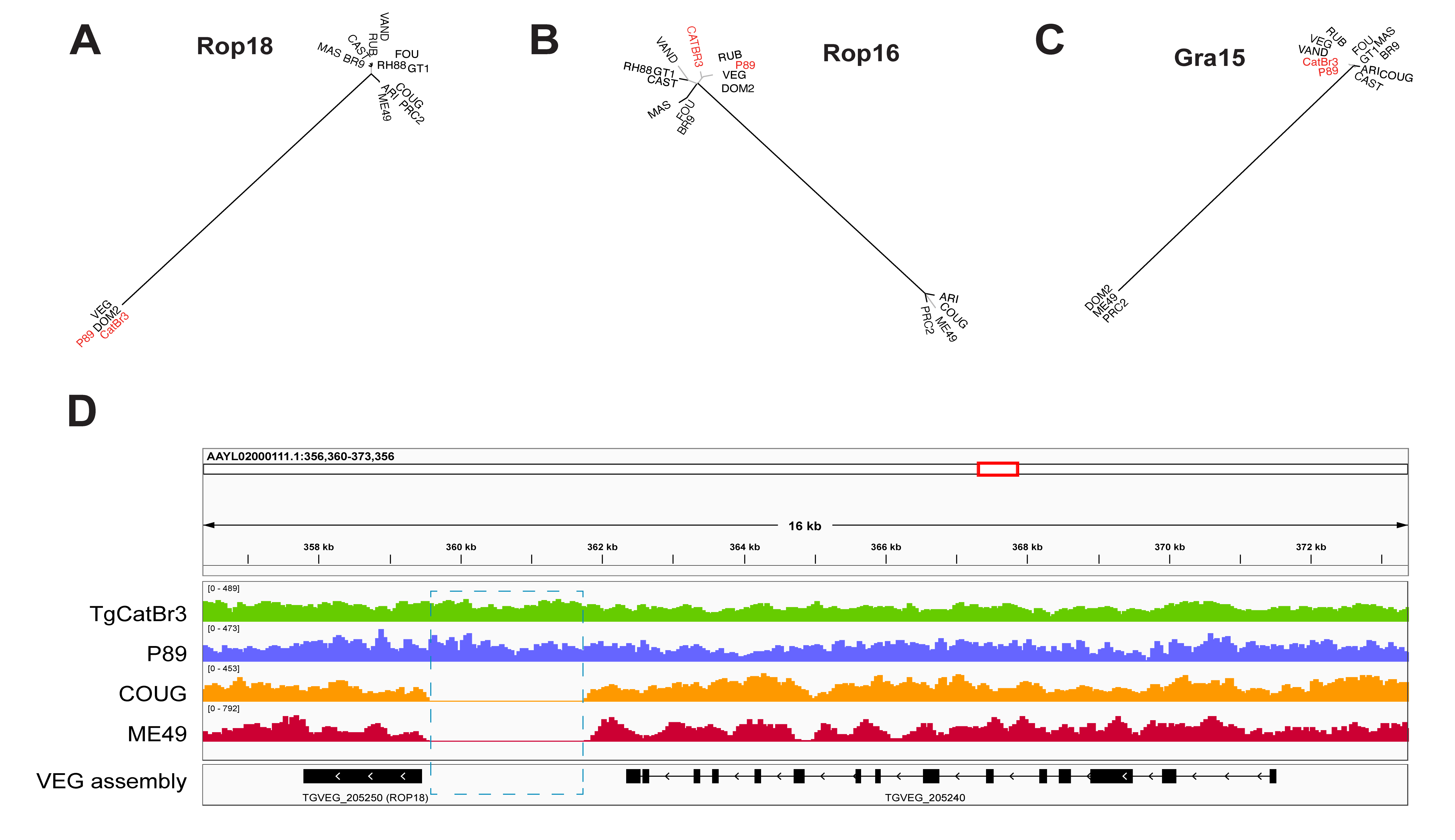 Microorganisms 13 02865 g007