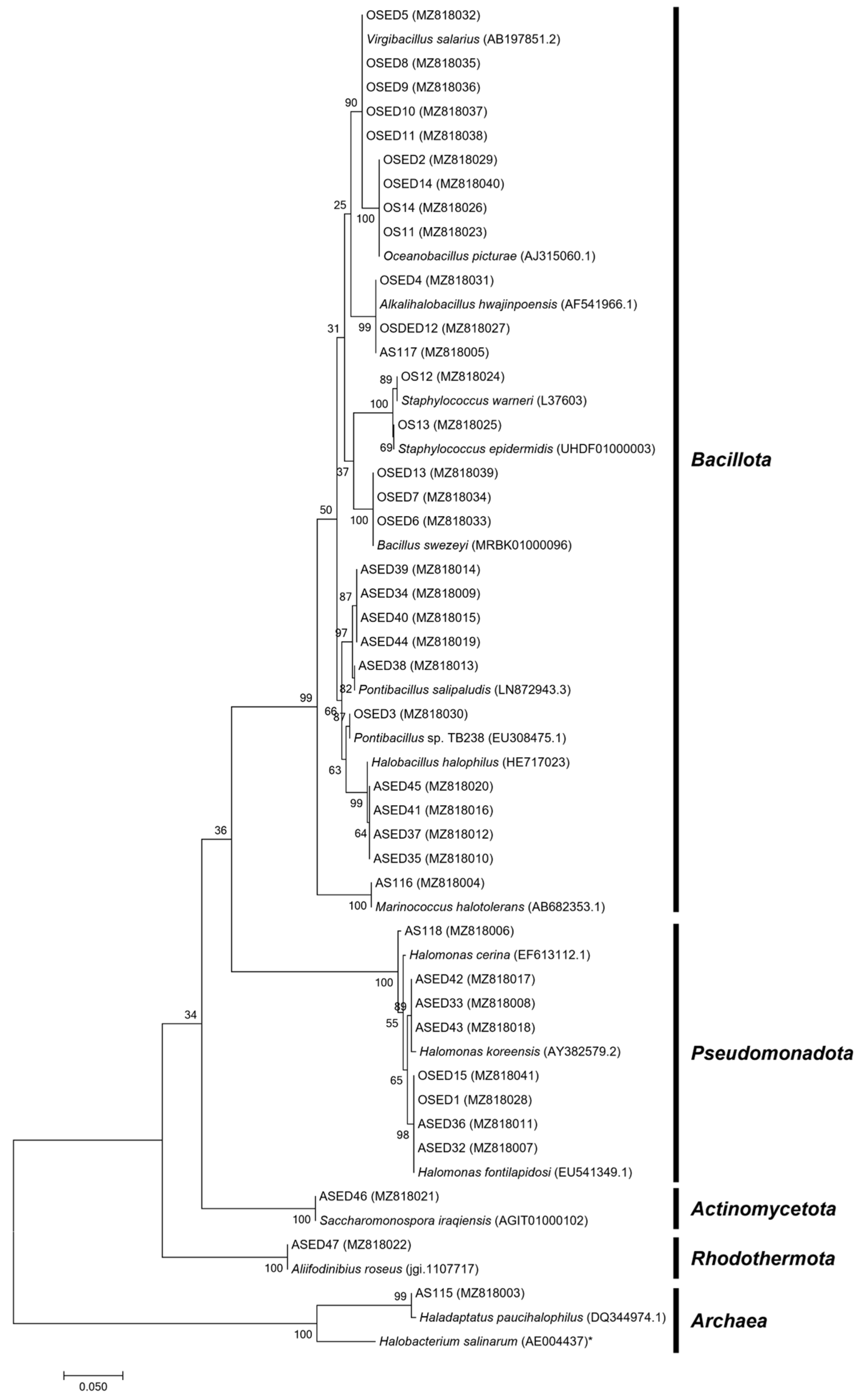 Microorganisms 13 02867 g001 Microorganisms 13 02867 g001