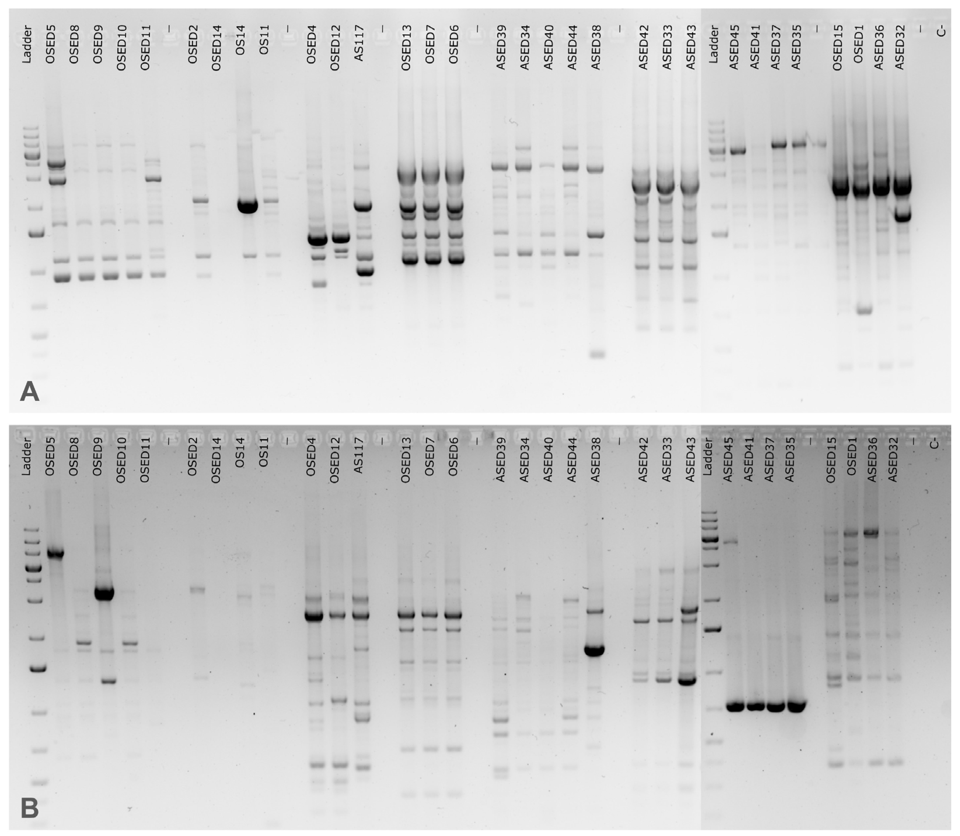 Microorganisms 13 02867 g003 Microorganisms 13 02867 g003