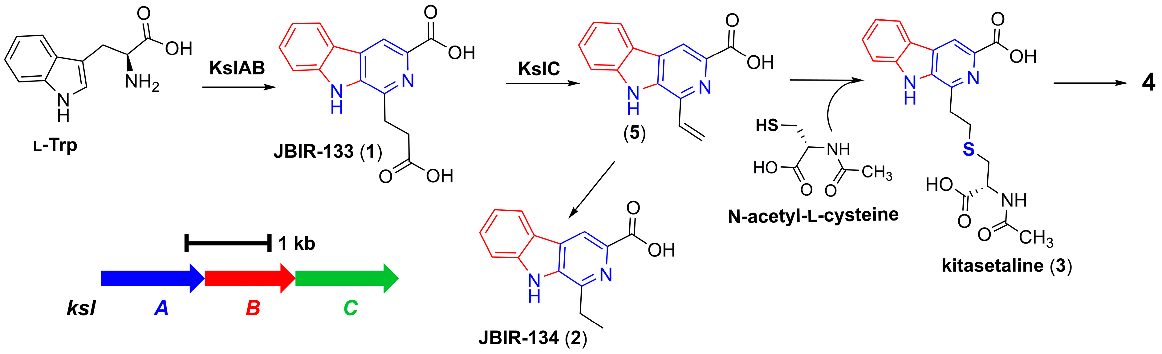 Microorganisms 13 02871 g003