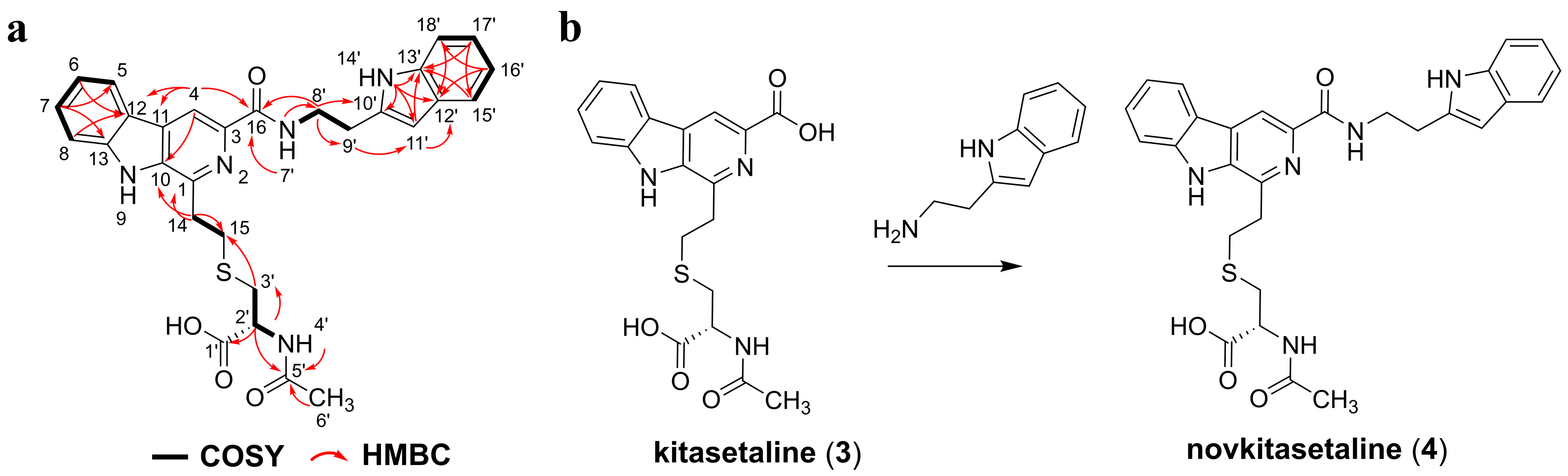 Microorganisms 13 02871 g004