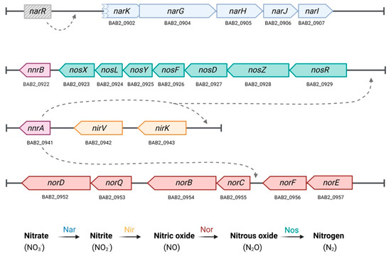 Microorganisms 13 02875 g001