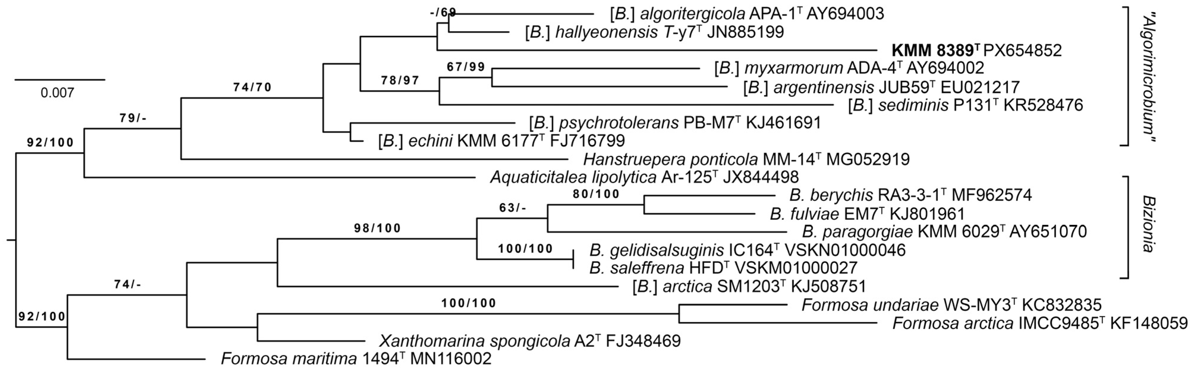Microorganisms 14 00024 g001