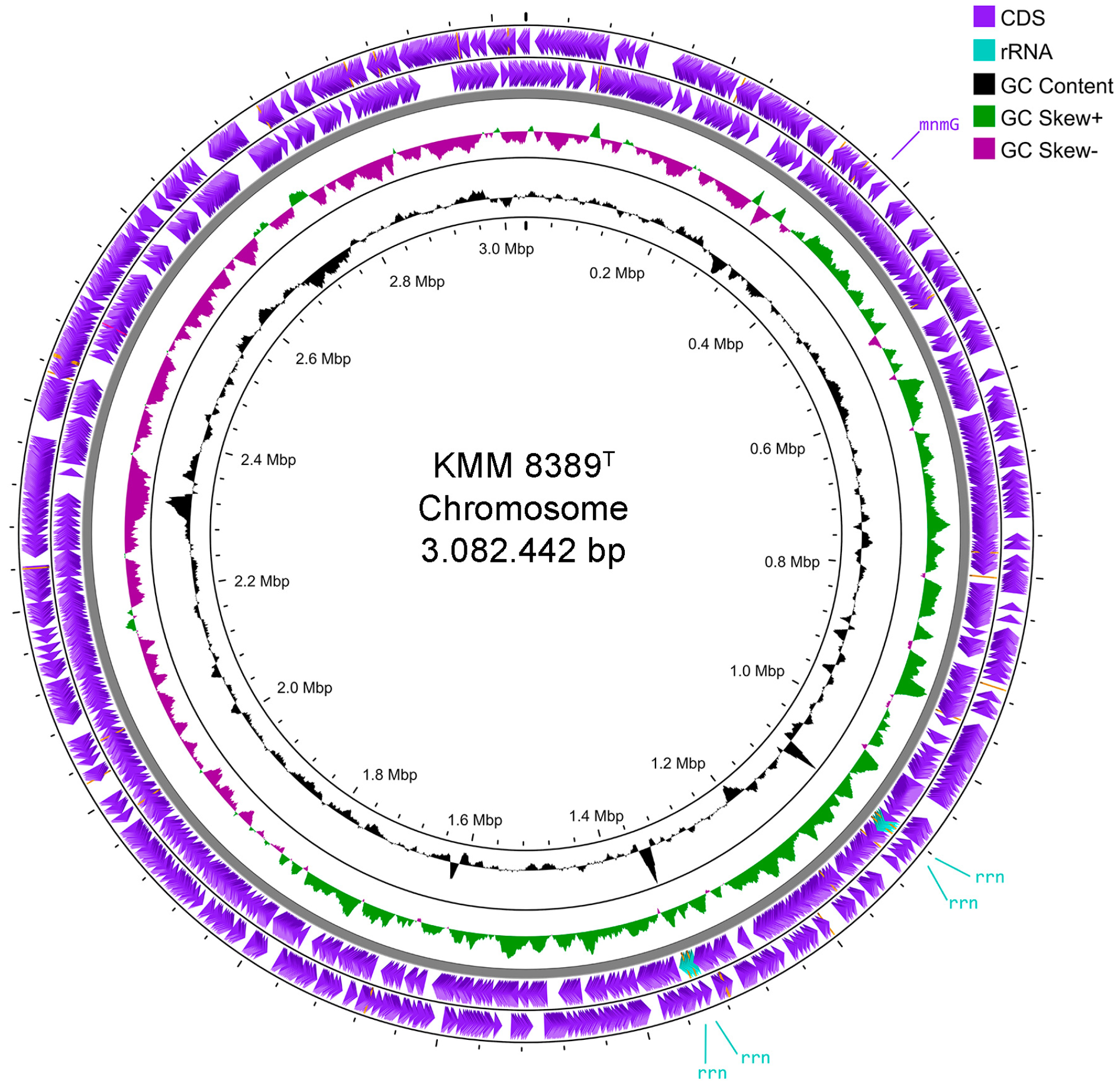Microorganisms 14 00024 g003