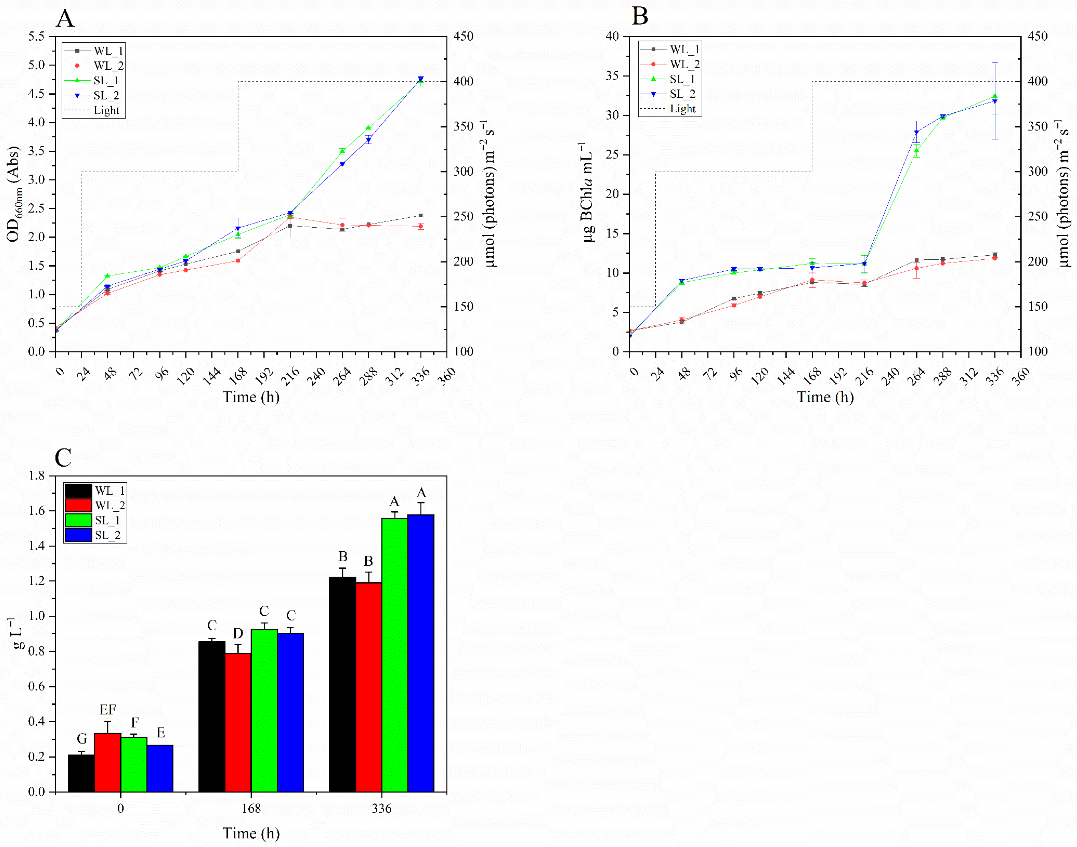 Microorganisms 14 00032 g003 Microorganisms 14 00032 g003