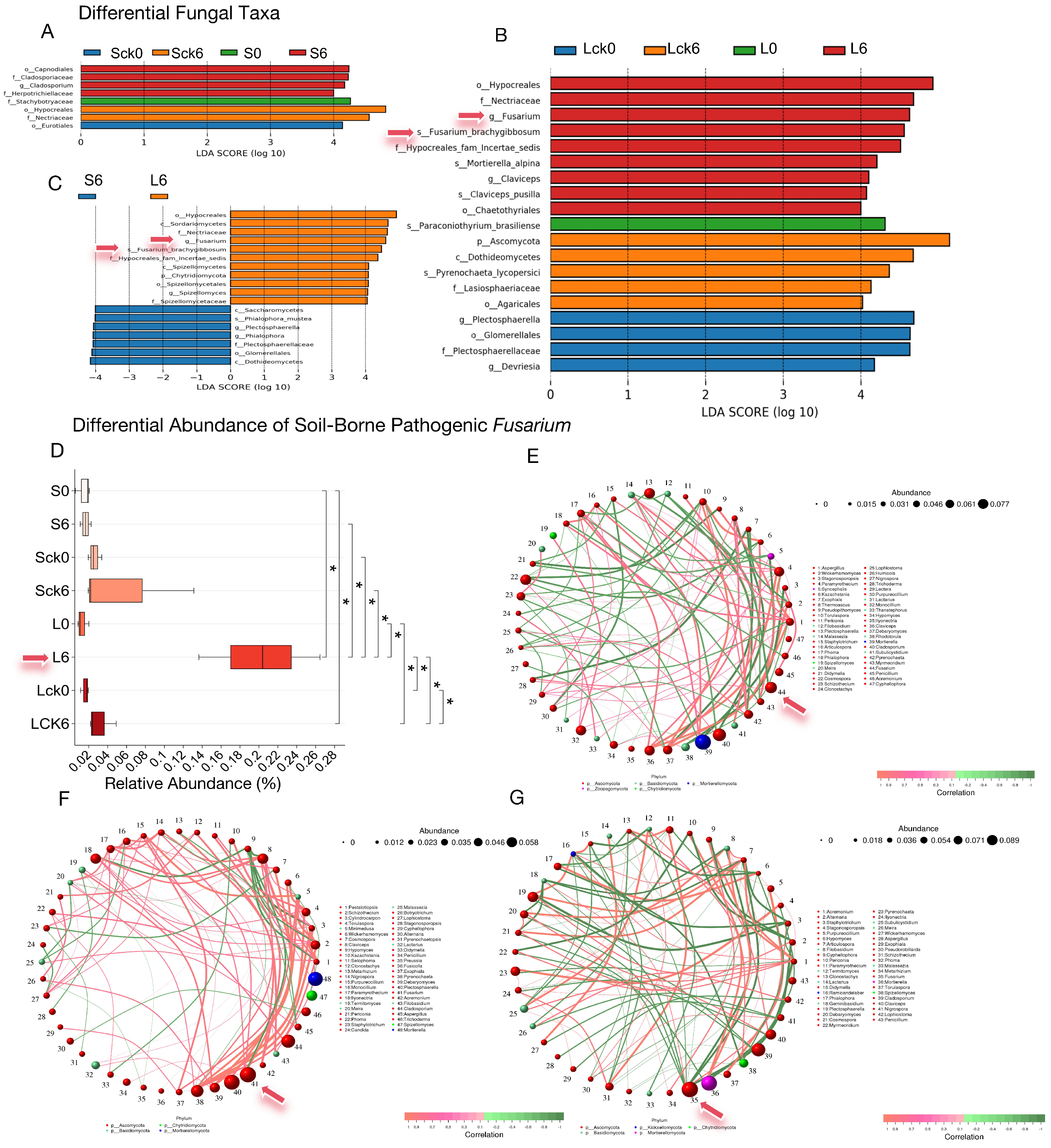 Microorganisms 14 00052 g002