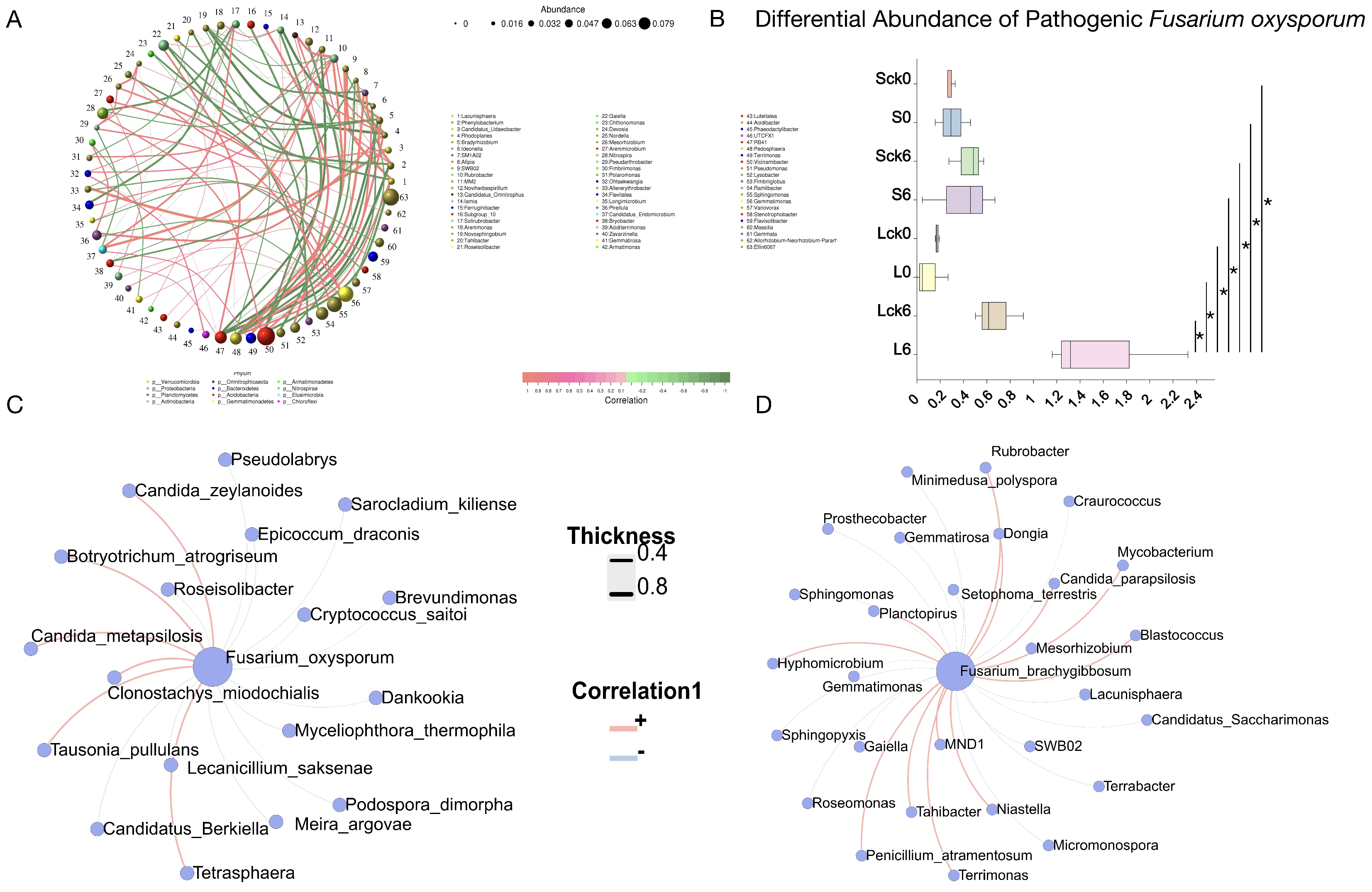 Microorganisms 14 00052 g006