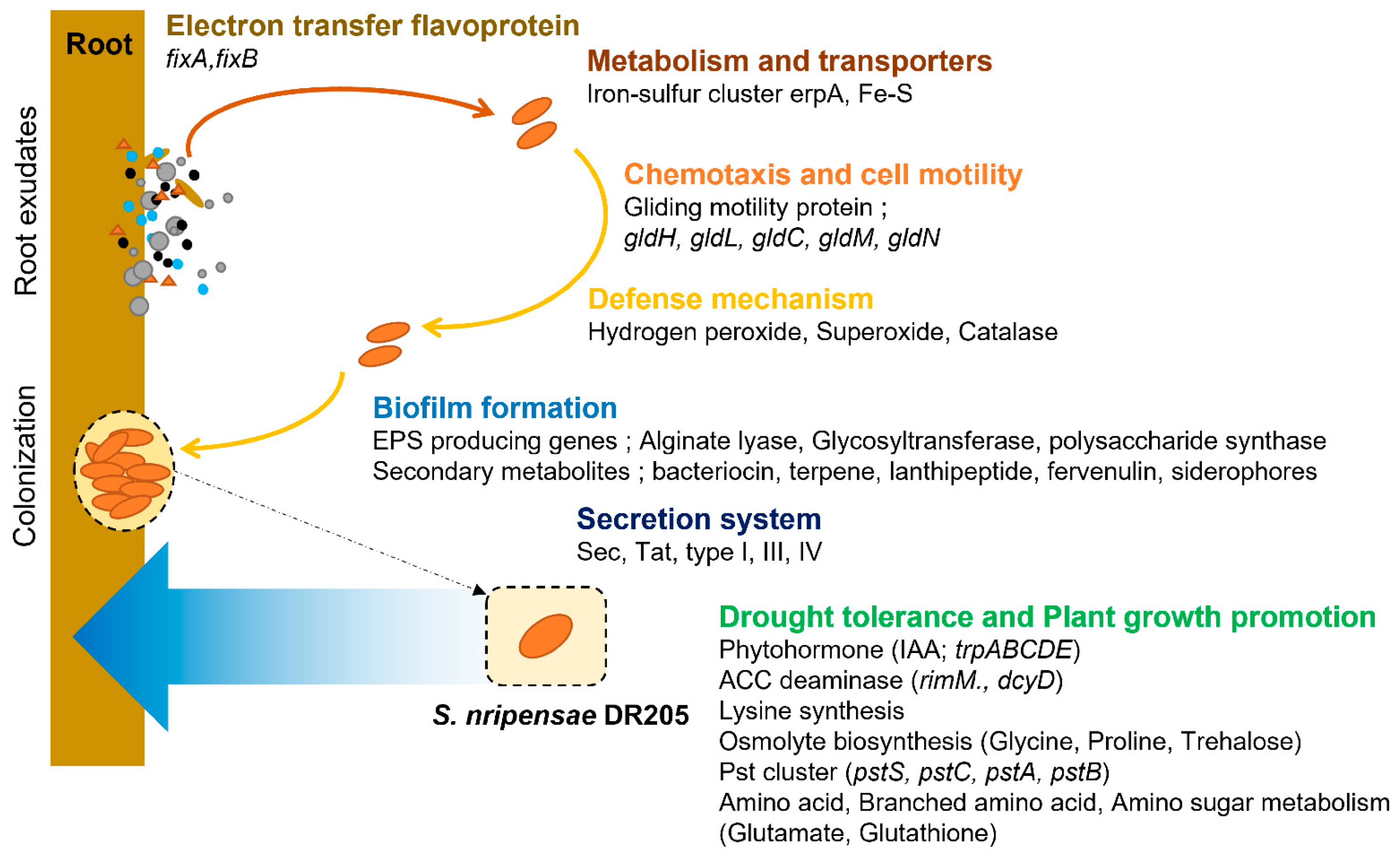 Microorganisms 14 00114 g003 Microorganisms 14 00114 g003