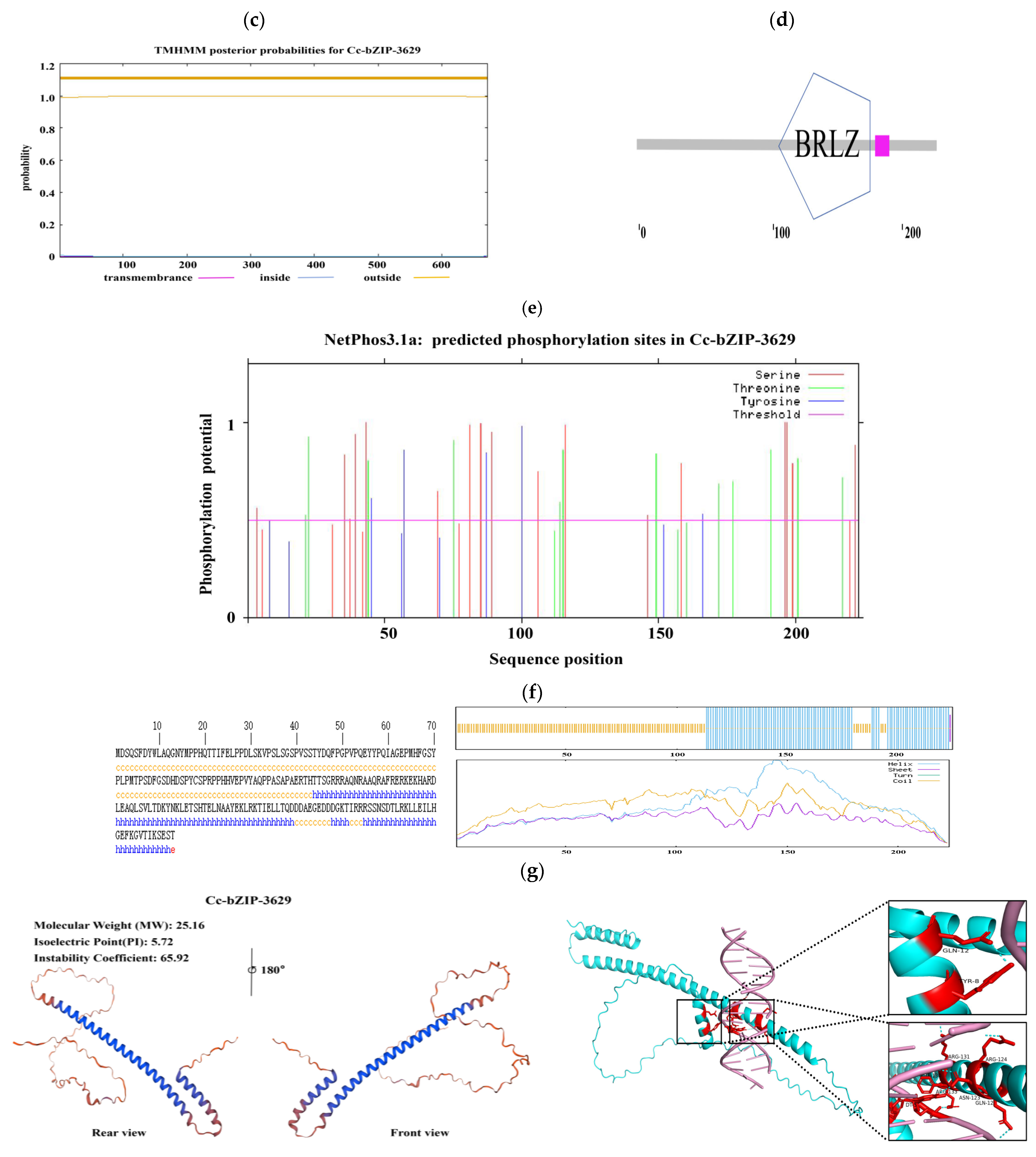 Microorganisms 14 00129 g007b