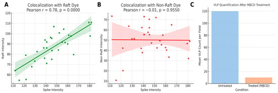 Selective Budding of SARS-CoV-Like Particles from Glycolipid-Enriched ...