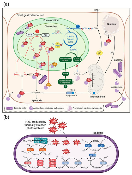 Microorganisms 14 00202 g002