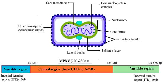 Microorganisms 14 00317 g002