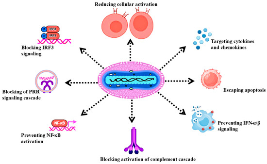 Microorganisms 14 00317 g008