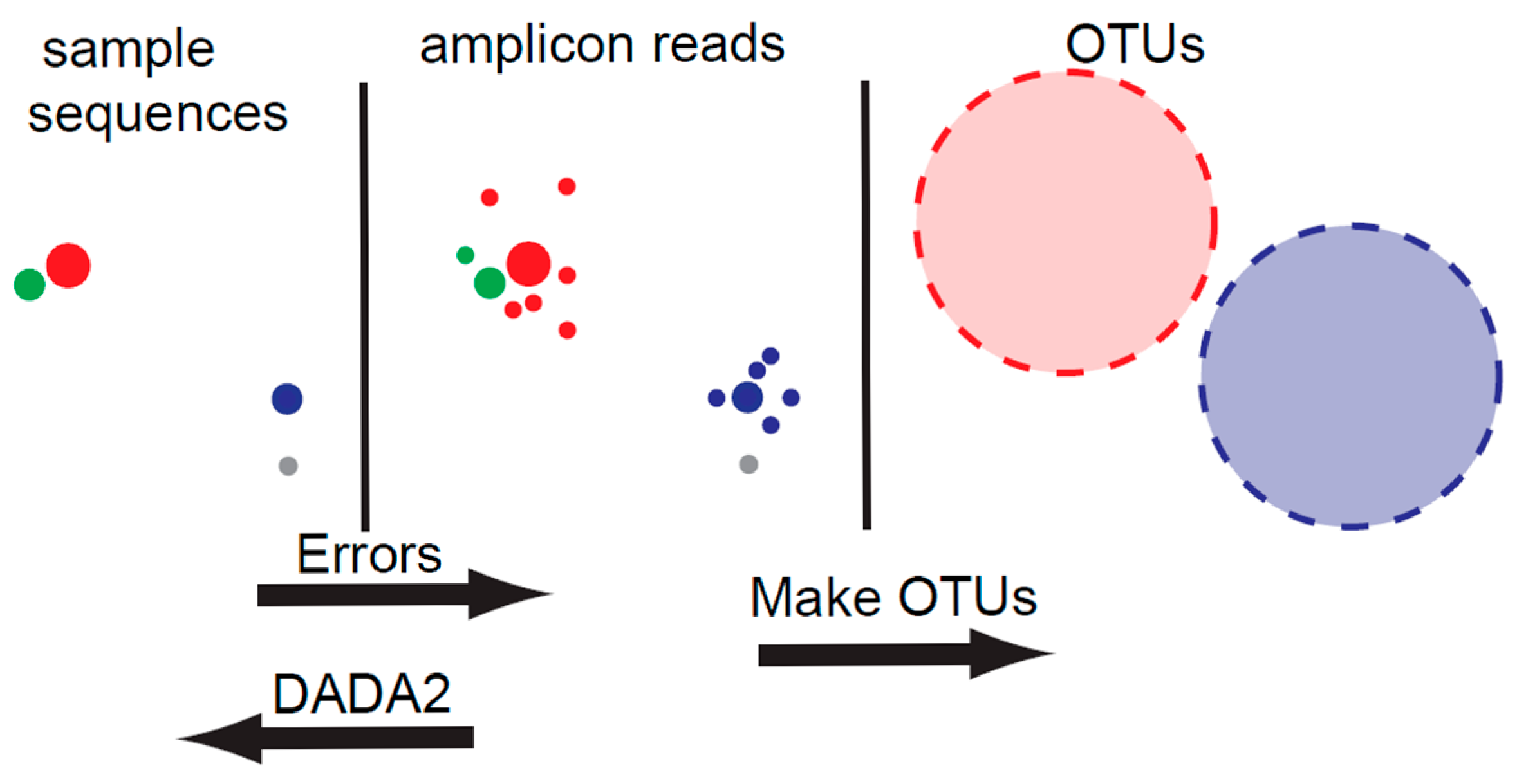 Microorganisms 14 00319 g008 Microorganisms 14 00319 g008