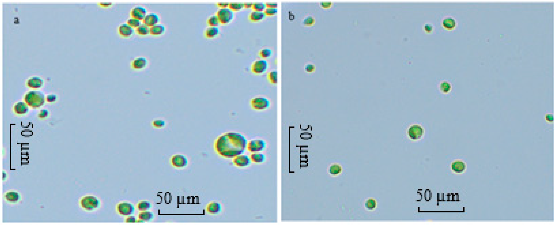 Microorganisms 14 00324 g004 Microorganisms 14 00324 g004