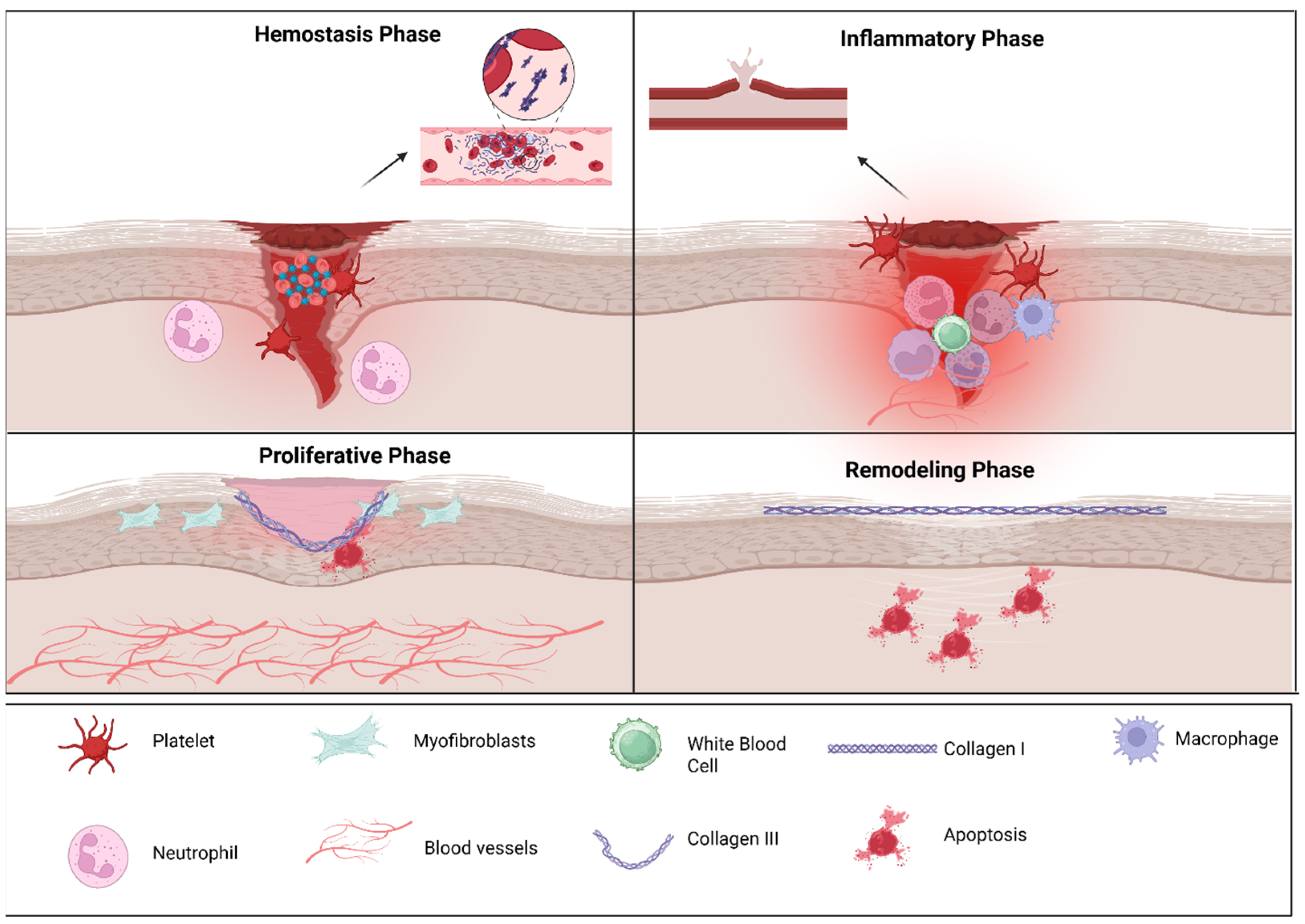 Microorganisms 14 00330 g001