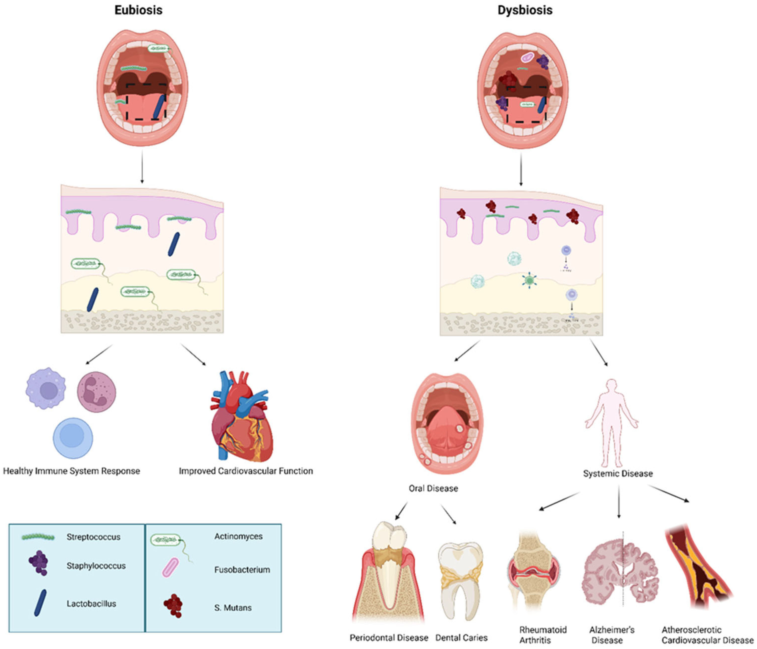 Microorganisms 14 00330 g002