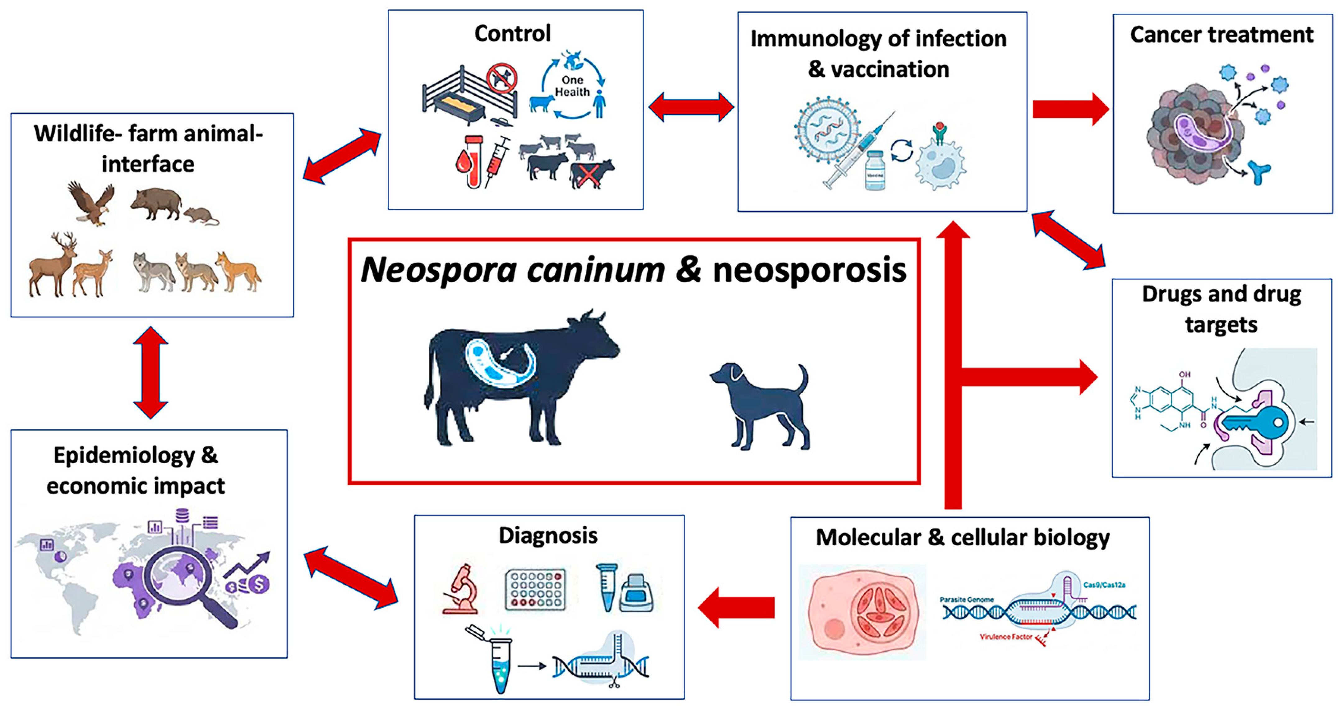 Microorganisms 14 00338 g001
