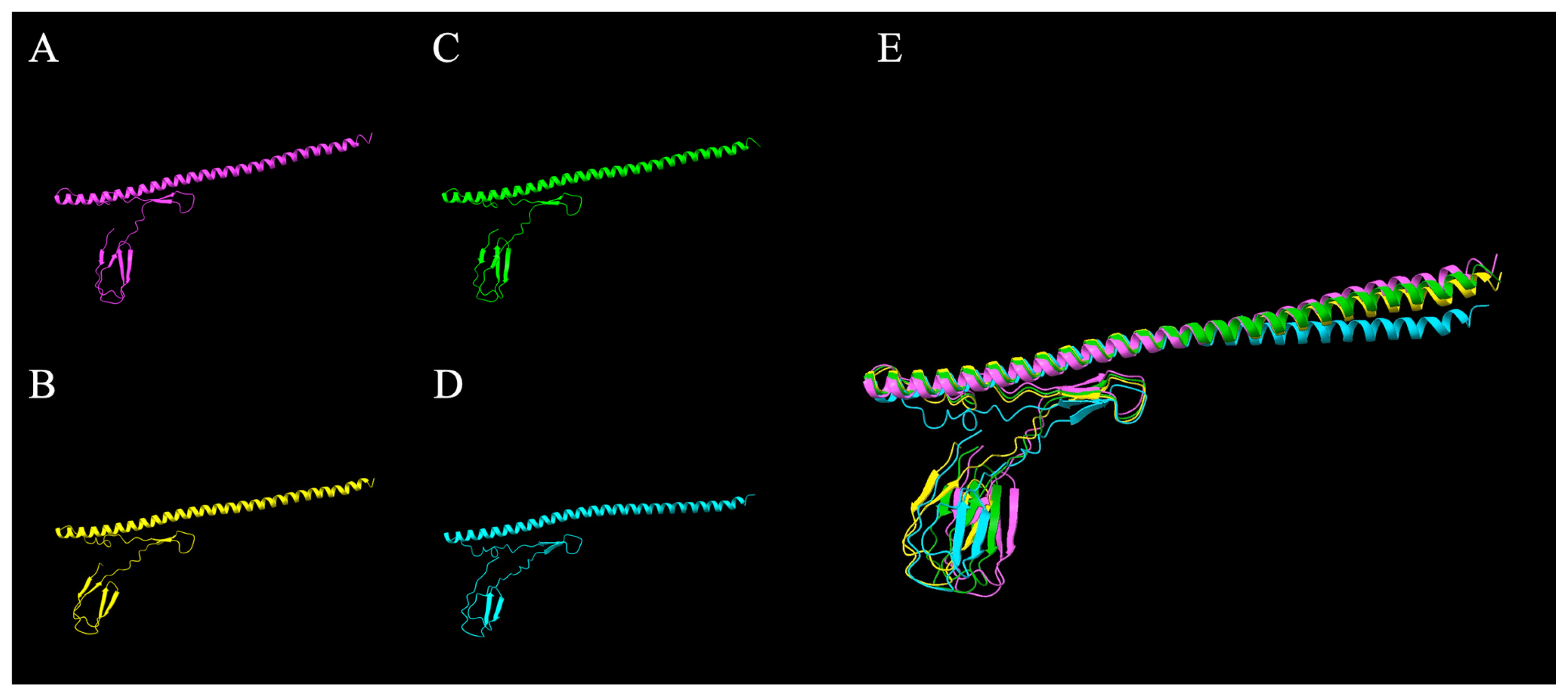 Microorganisms 14 00341 g005