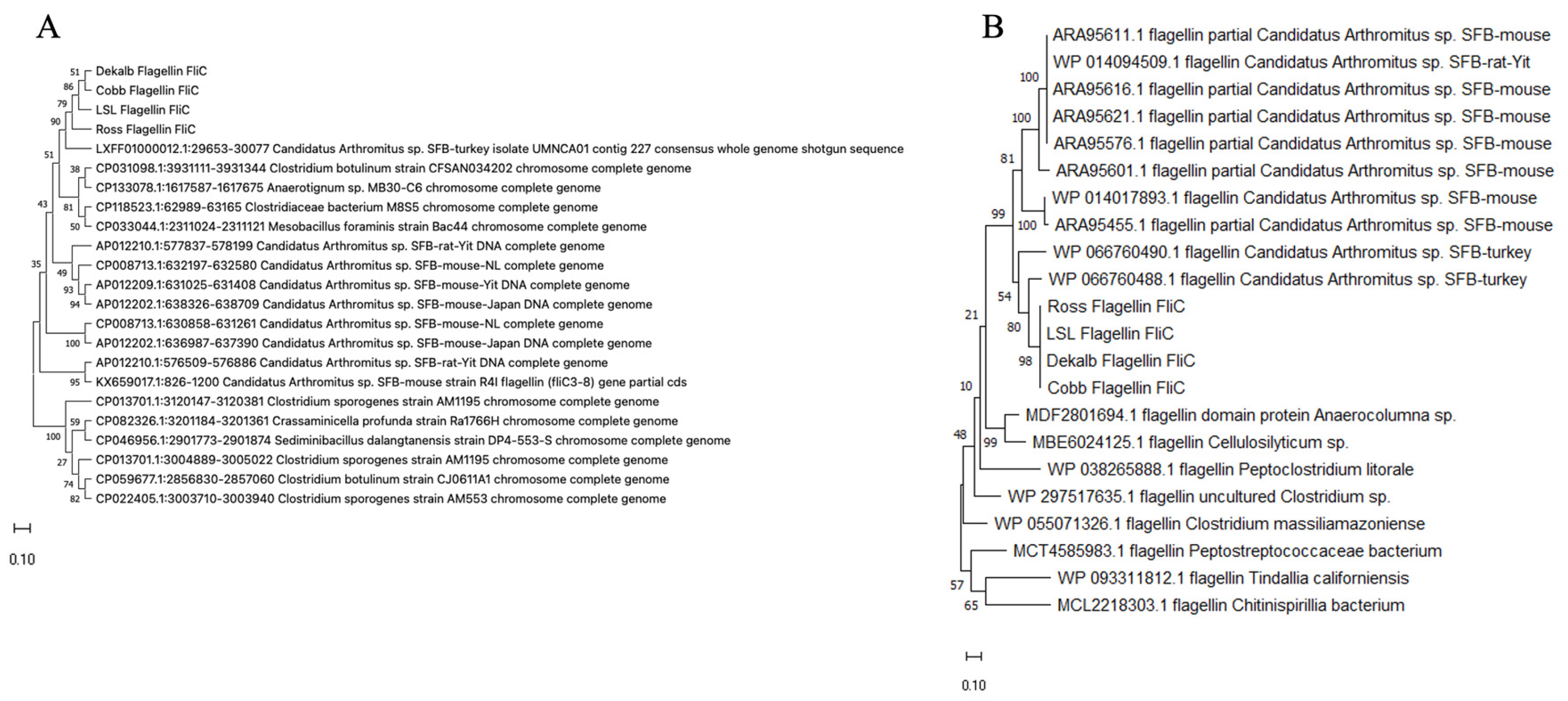 Microorganisms 14 00341 g007
