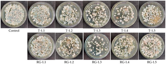 Microorganisms 14 00342 g0a3
