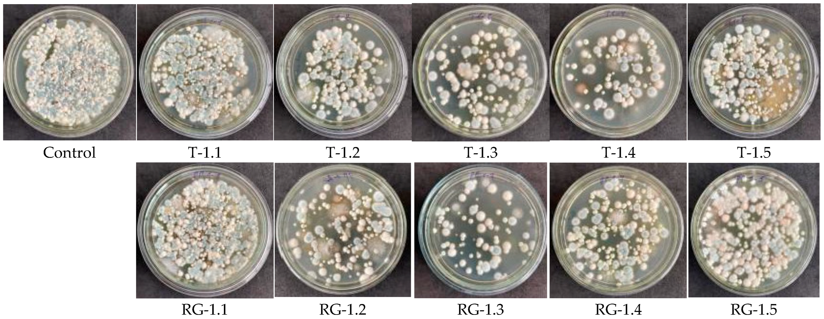 Microorganisms 14 00342 g0a3 Microorganisms 14 00342 g0a3