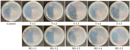 Microorganisms 14 00342 g0a6