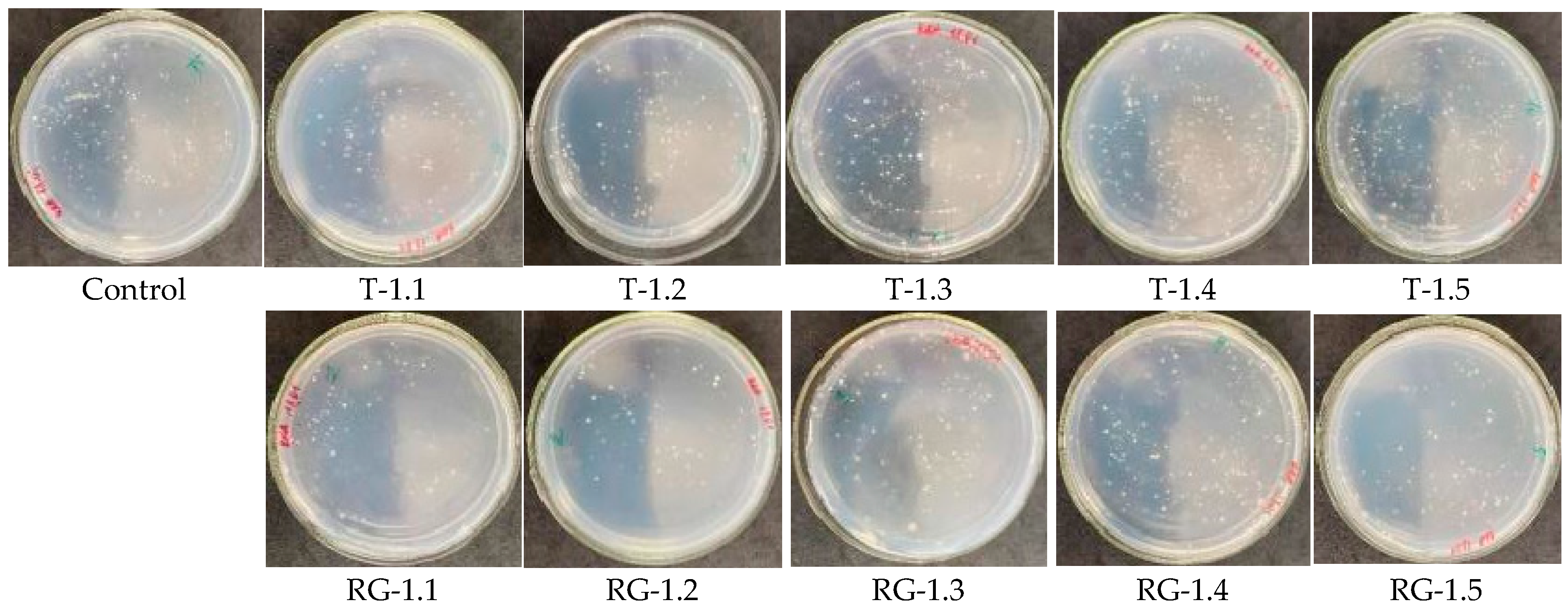 Microorganisms 14 00342 g0a6 Microorganisms 14 00342 g0a6