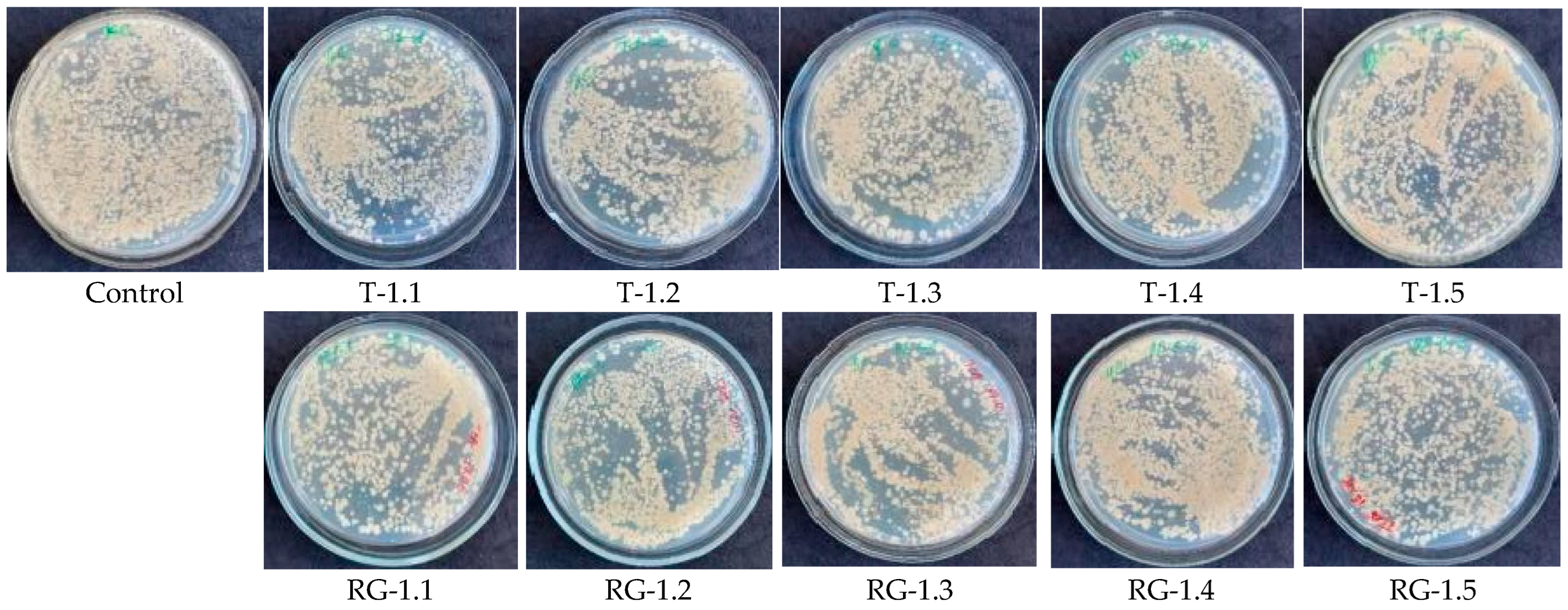 Microorganisms 14 00342 g0a8 Microorganisms 14 00342 g0a8